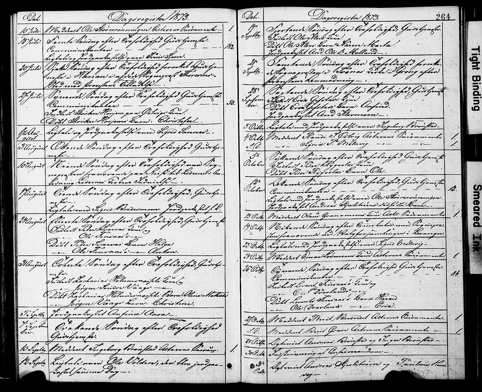 Ministerialprotokoller, klokkerbøker og fødselsregistre - Nord-Trøndelag, SAT/A-1458/749/L0473: Parish register (official) no. 749A07, 1873-1887, p. 264