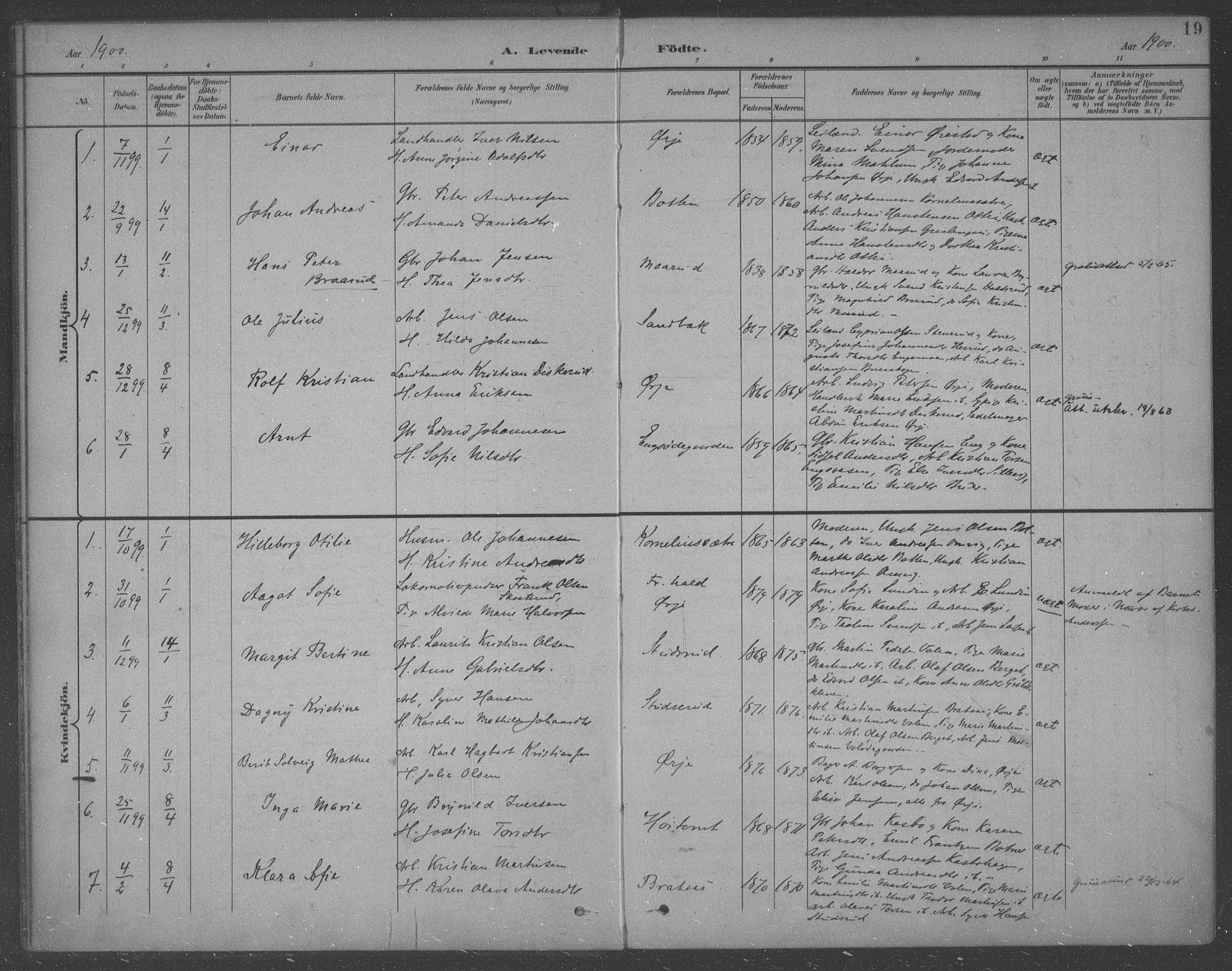 Aremark prestekontor Kirkebøker, AV/SAO-A-10899/F/Fb/L0005: Parish register (official) no. II 5, 1895-1919, p. 19