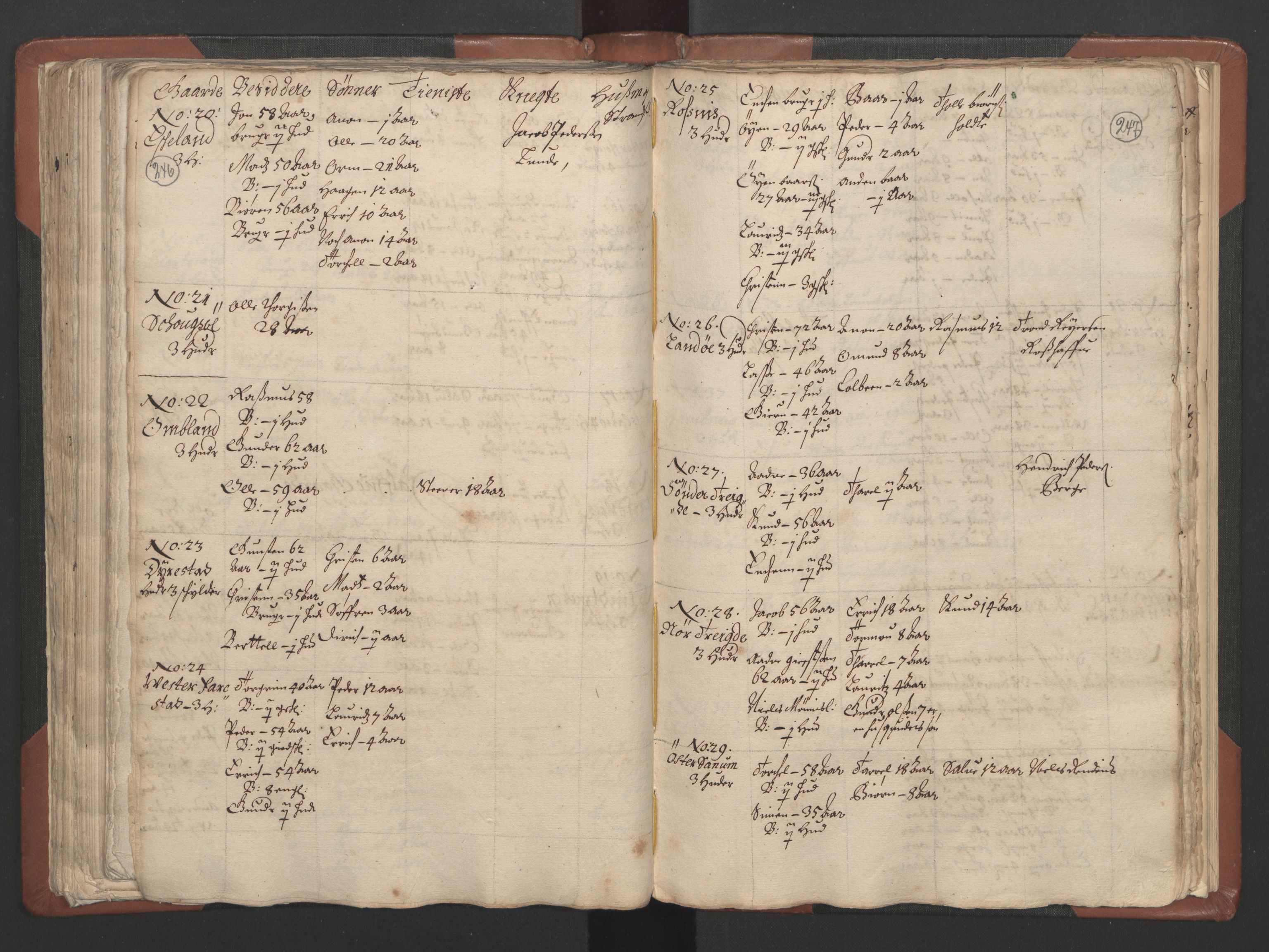 RA, Bailiff's Census 1664-1666, no. 9: Mandal len, 1664-1666, p. 246-247