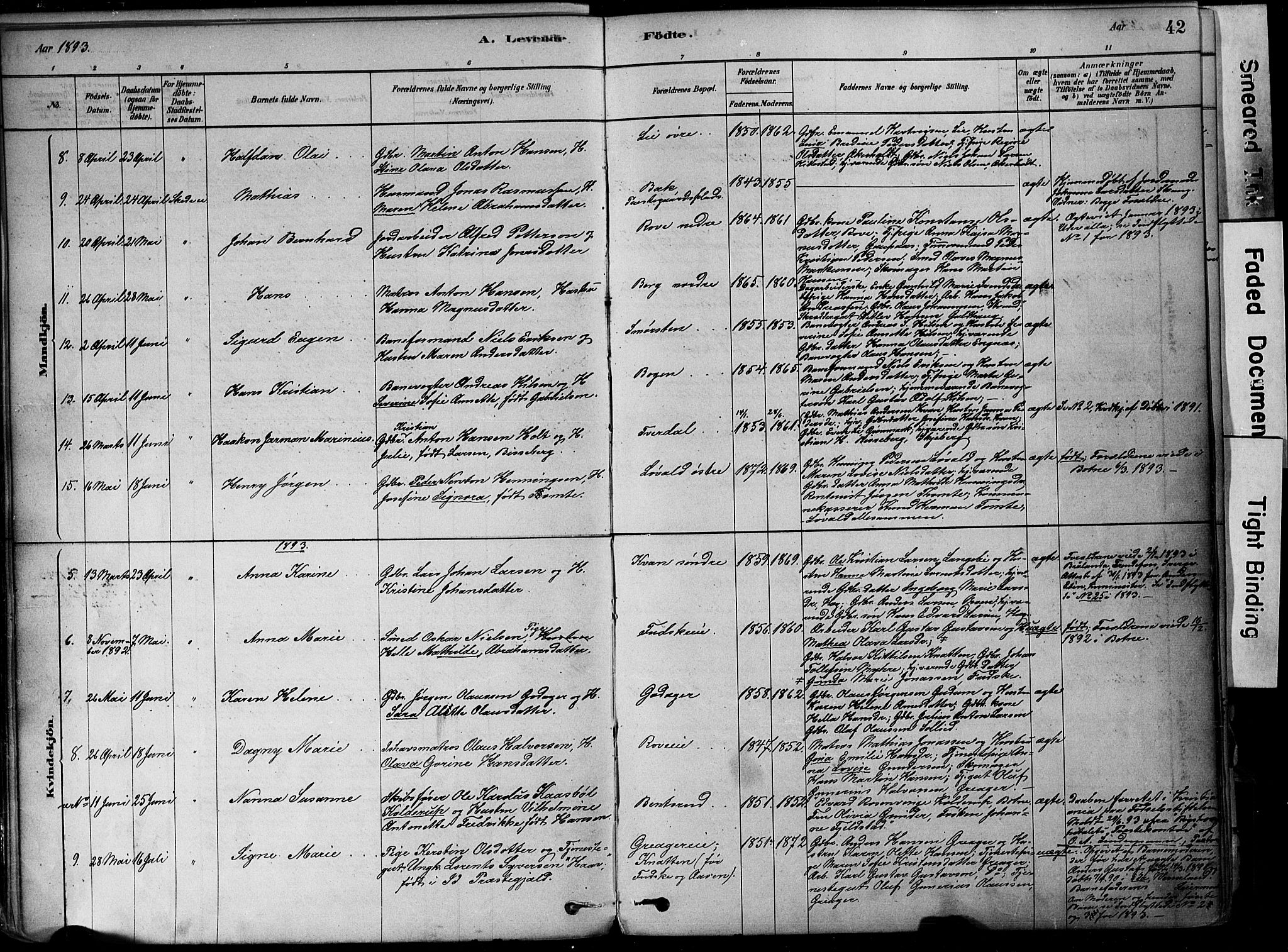 Botne kirkebøker, AV/SAKO-A-340/F/Fa/L0007: Parish register (official) no. I 7, 1878-1910, p. 42