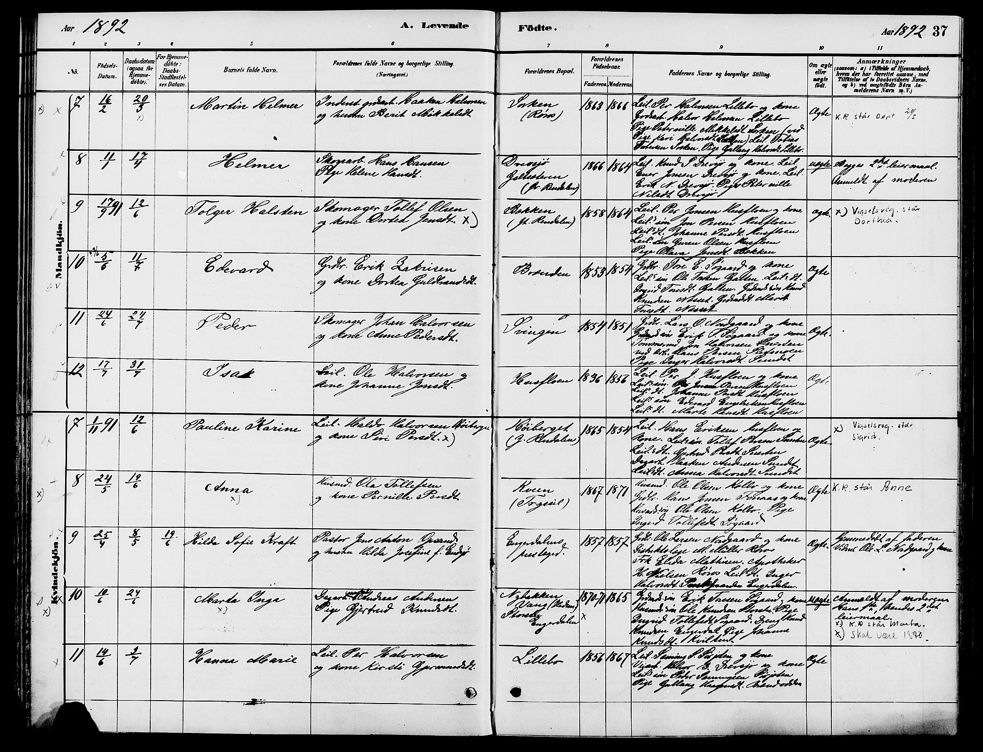 Engerdal prestekontor, AV/SAH-PREST-048/H/Ha/Haa/L0001: Parish register (official) no. 1, 1881-1898, p. 37