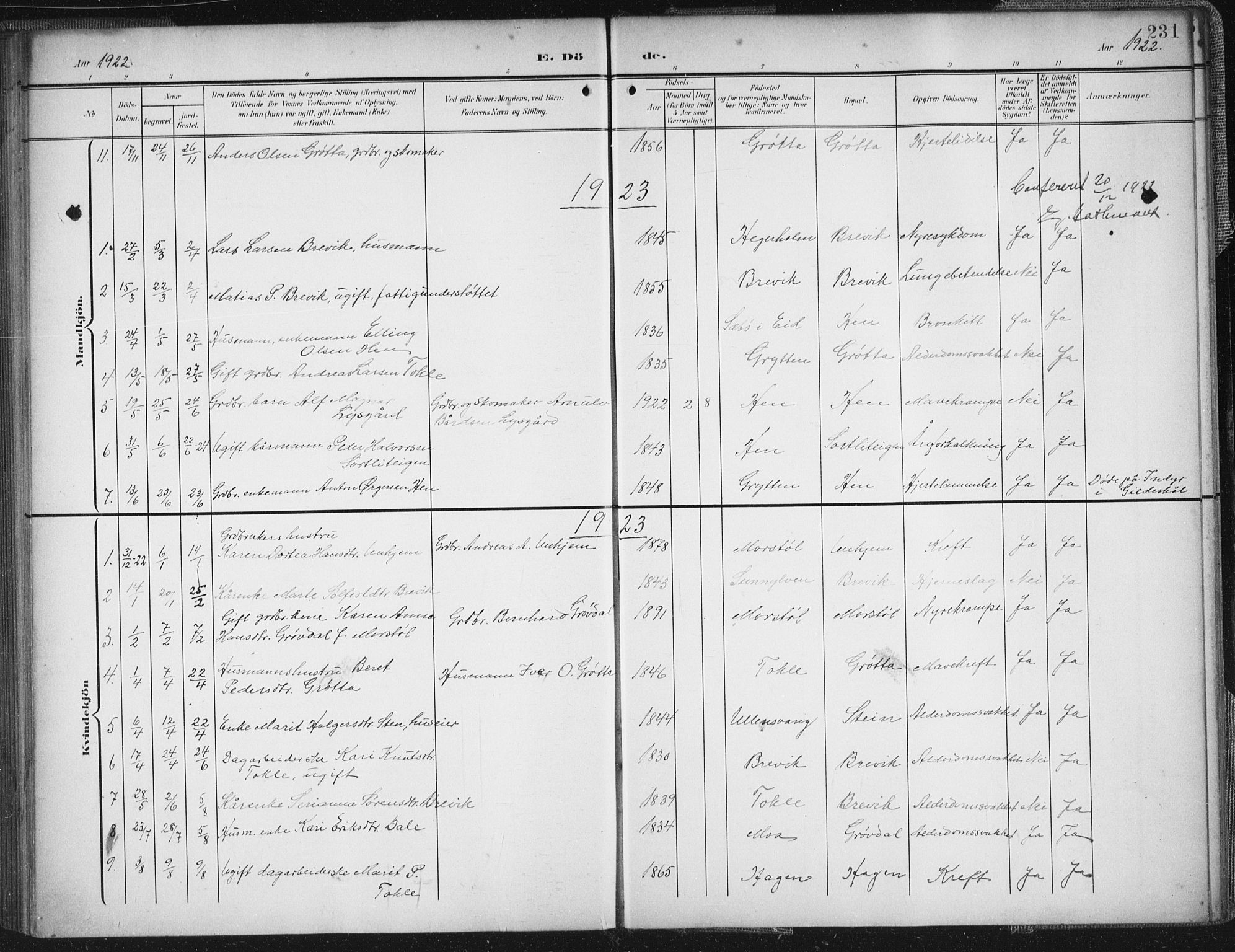 Ministerialprotokoller, klokkerbøker og fødselsregistre - Møre og Romsdal, AV/SAT-A-1454/545/L0589: Parish register (copy) no. 545C03, 1902-1937, p. 231