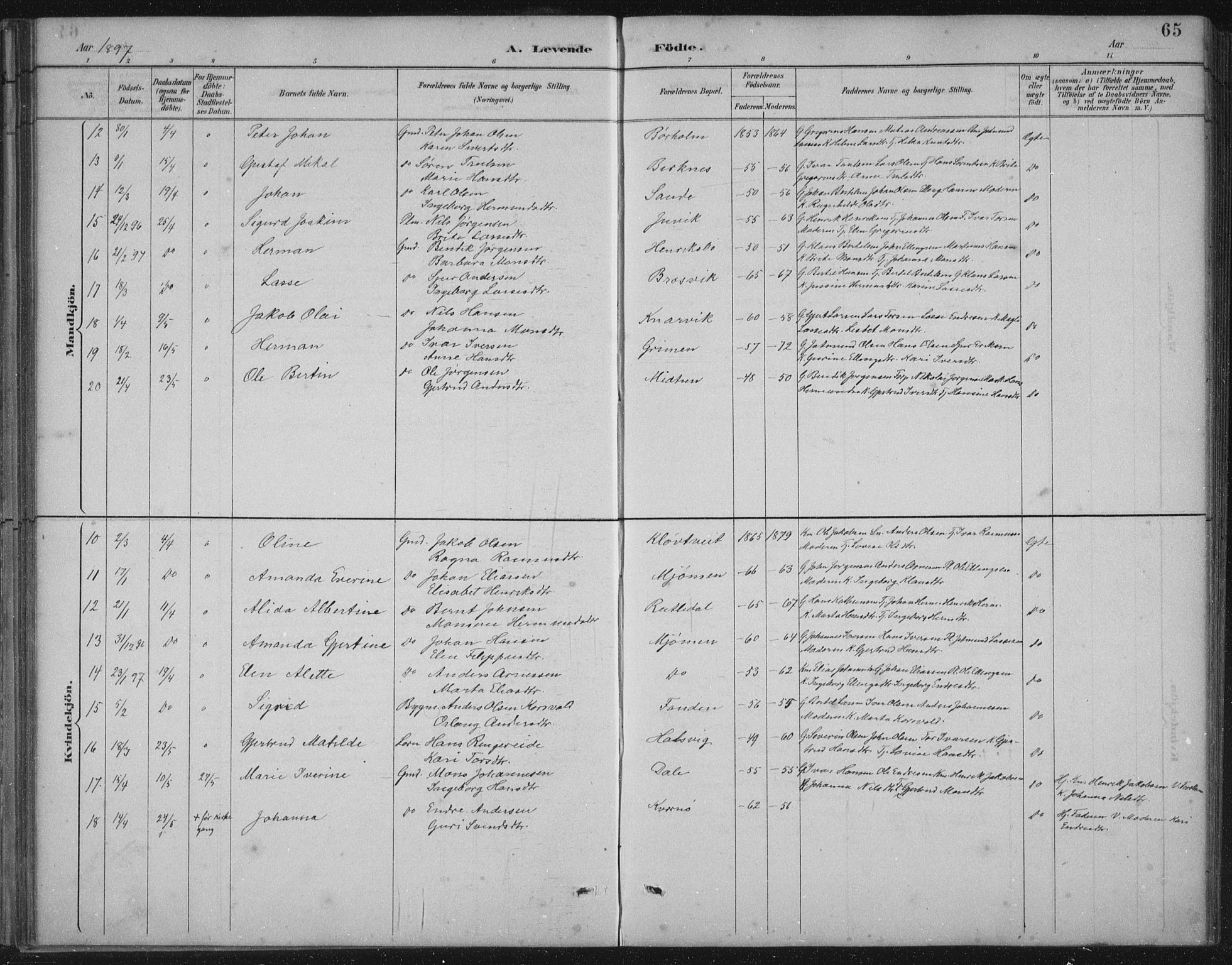 Gulen sokneprestembete, AV/SAB-A-80201/H/Hab/Habb/L0003: Parish register (copy) no. B 3, 1884-1907, p. 65