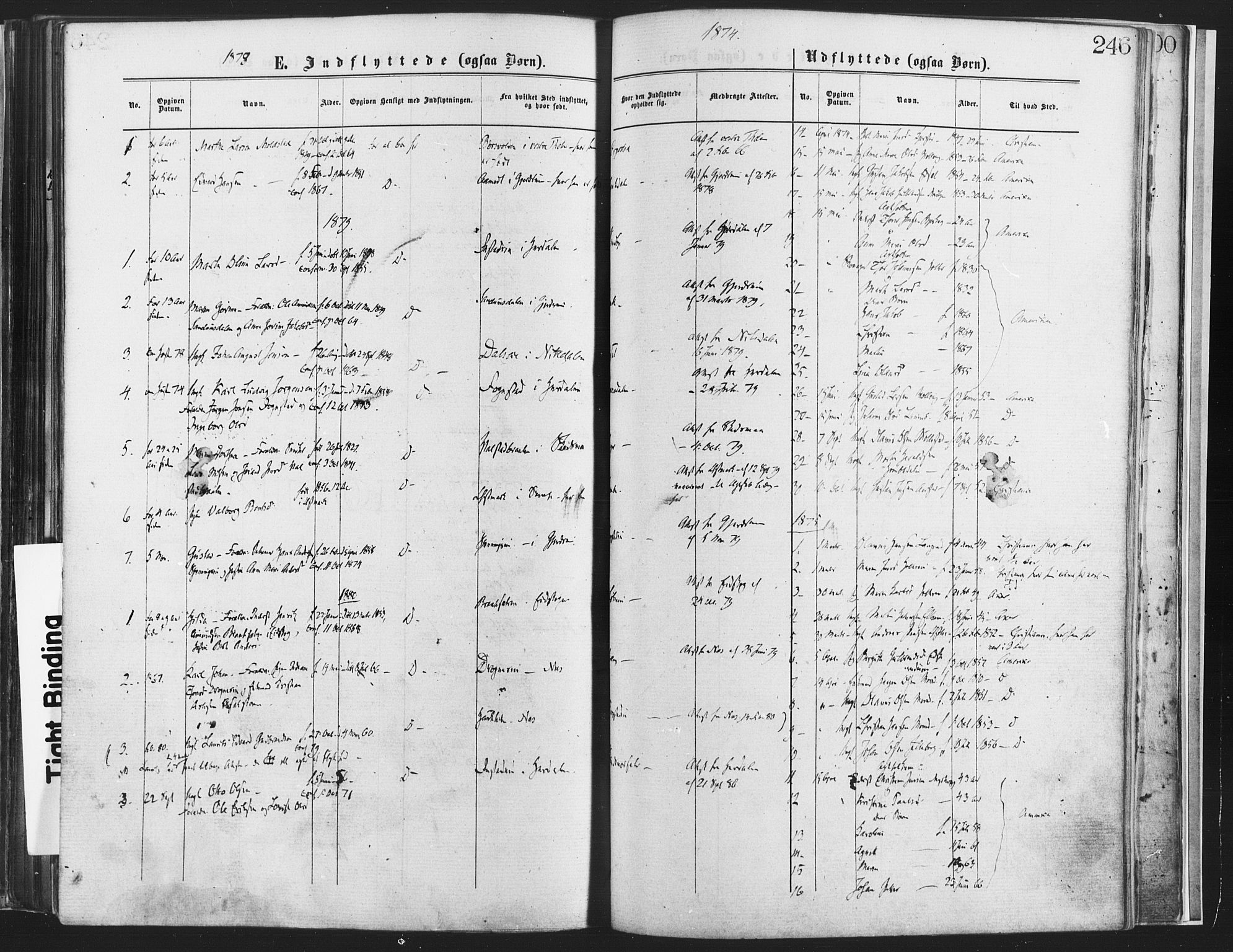 Nannestad prestekontor Kirkebøker, SAO/A-10414a/F/Fa/L0013: Parish register (official) no. I 13, 1873-1880, p. 246