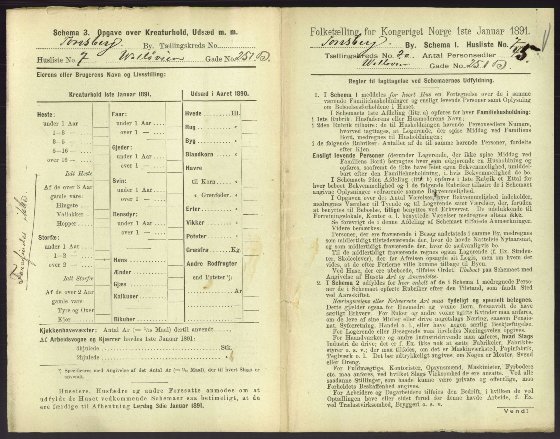 RA, 1891 census for 0705 Tønsberg, 1891, p. 690