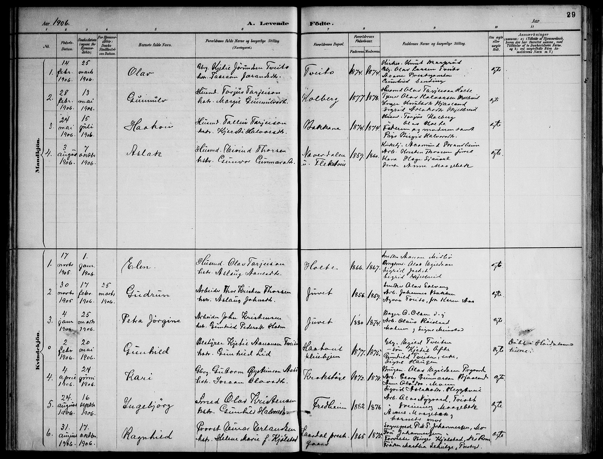 Lårdal kirkebøker, SAKO/A-284/F/Fa/L0007: Parish register (official) no. I 7, 1887-1906, p. 29