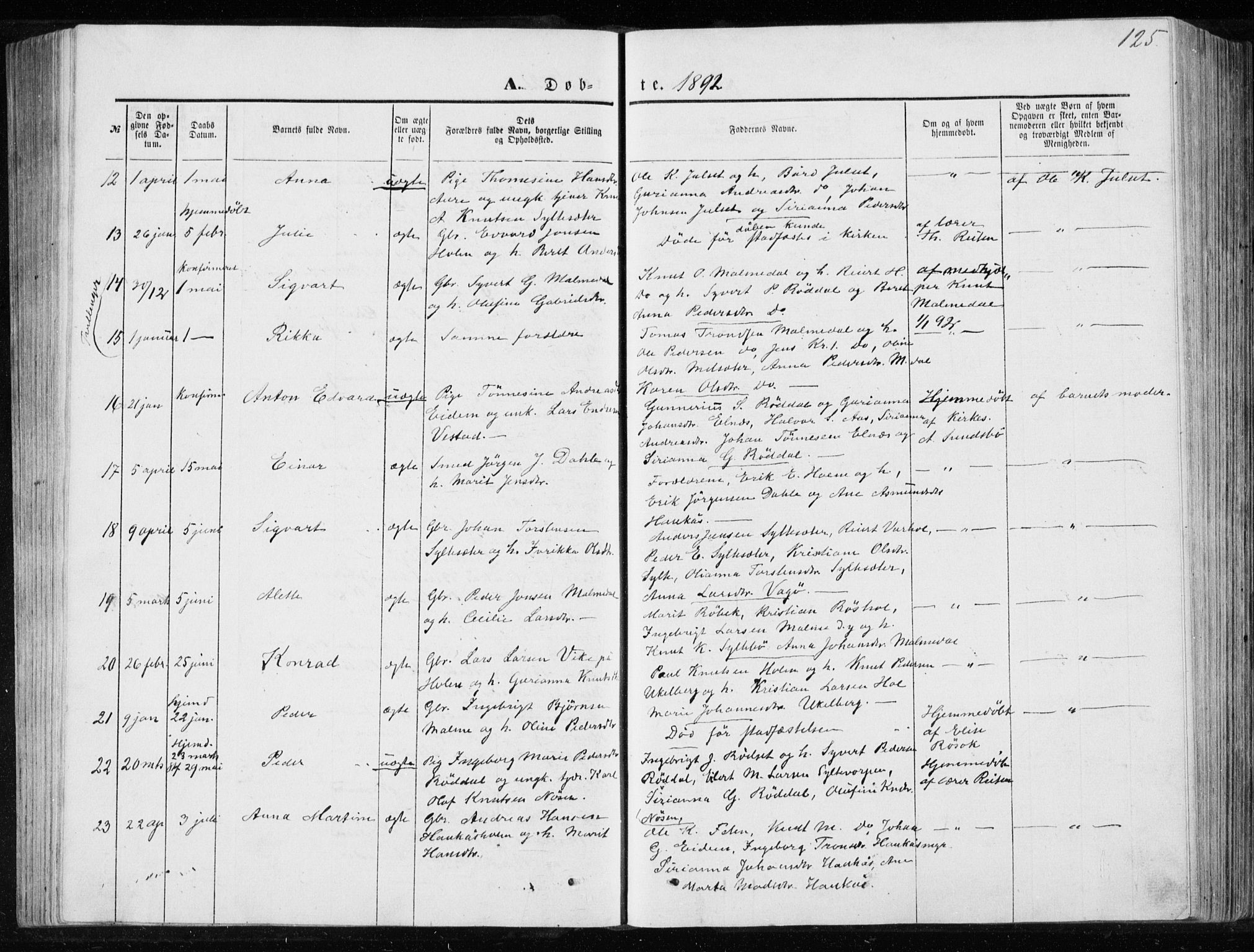 Ministerialprotokoller, klokkerbøker og fødselsregistre - Møre og Romsdal, AV/SAT-A-1454/565/L0754: Parish register (copy) no. 565C03, 1870-1896, p. 125