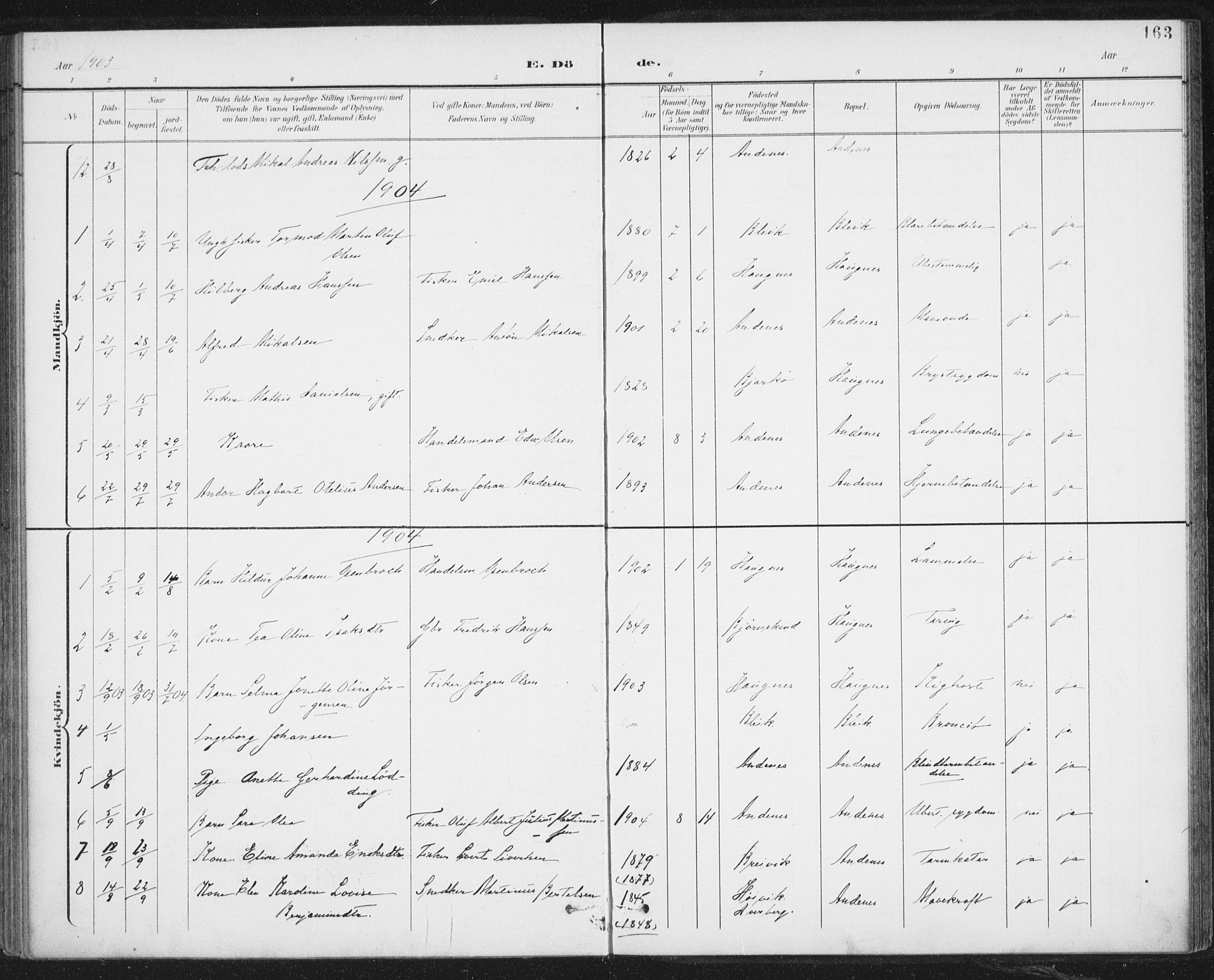 Ministerialprotokoller, klokkerbøker og fødselsregistre - Nordland, SAT/A-1459/899/L1437: Parish register (official) no. 899A05, 1897-1908, p. 163
