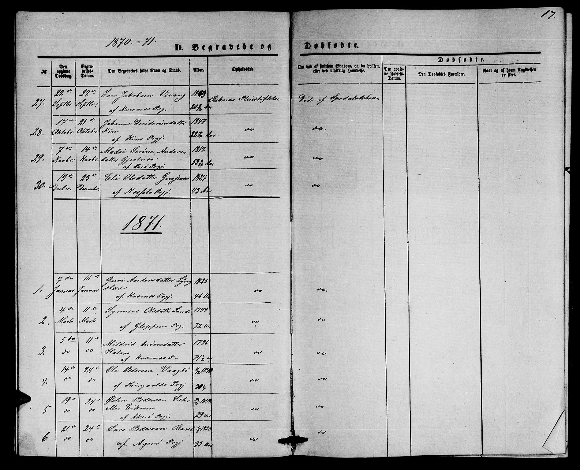 Ministerialprotokoller, klokkerbøker og fødselsregistre - Møre og Romsdal, SAT/A-1454/559/L0715: Parish register (copy) no. 559C01, 1869-1886, p. 17