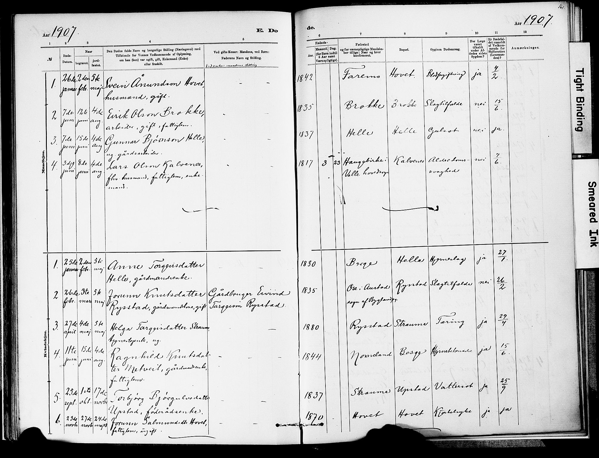 Valle sokneprestkontor, AV/SAK-1111-0044/F/Fa/Fab/L0001: Parish register (official) no. A 1, 1882-1910, p. 161