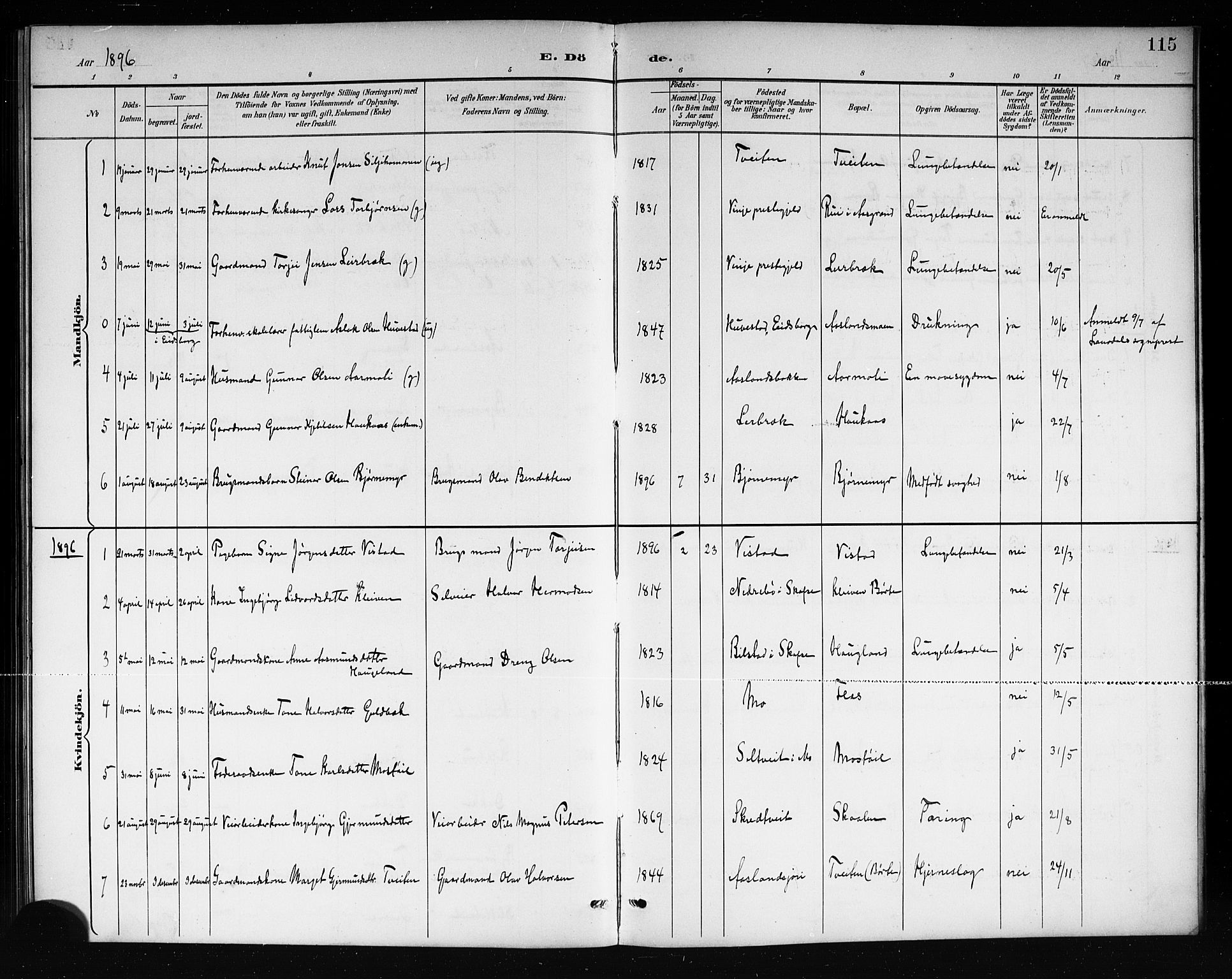 Mo kirkebøker, SAKO/A-286/G/Ga/L0002: Parish register (copy) no. I 2, 1892-1914, p. 115