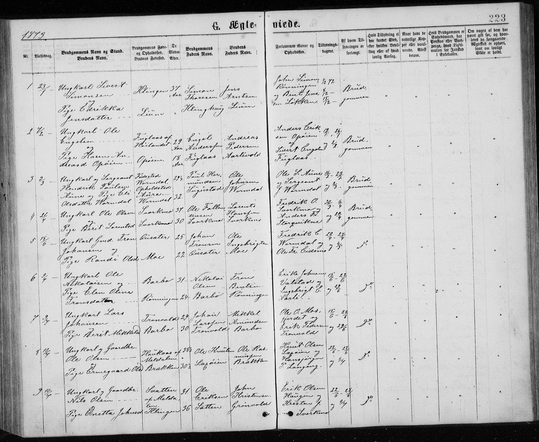 Ministerialprotokoller, klokkerbøker og fødselsregistre - Sør-Trøndelag, SAT/A-1456/671/L0843: Parish register (copy) no. 671C02, 1873-1892, p. 223