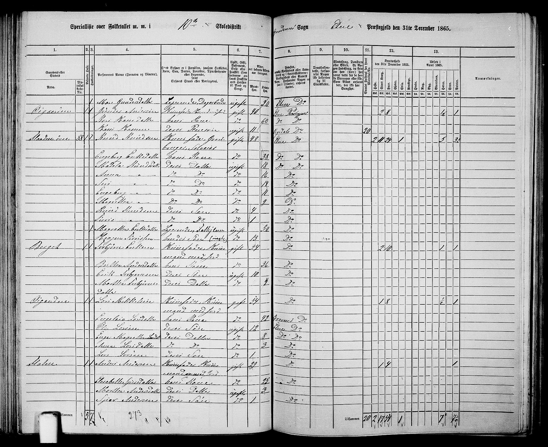 RA, 1865 census for Etne, 1865, p. 74