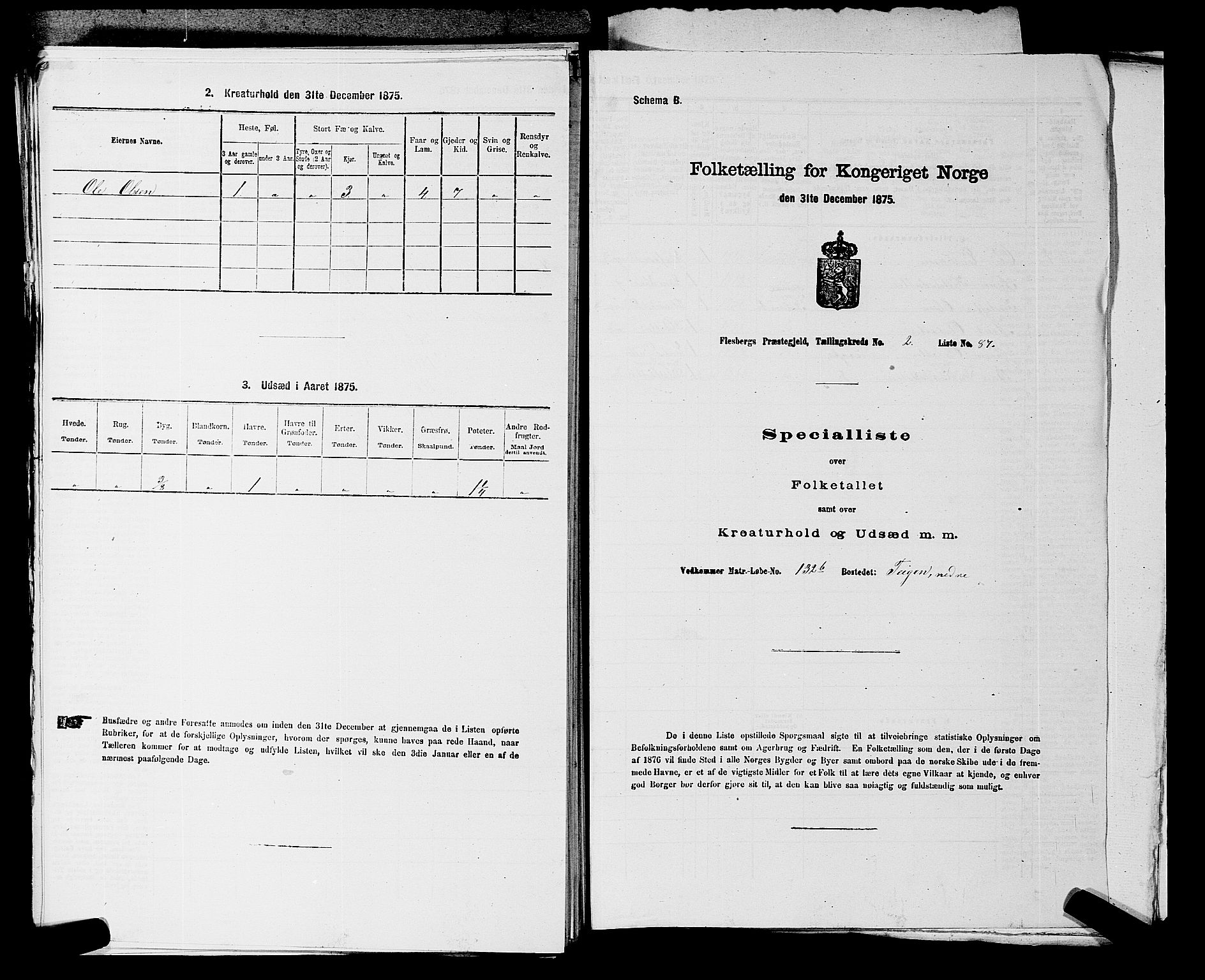 SAKO, 1875 census for 0631P Flesberg, 1875, p. 456