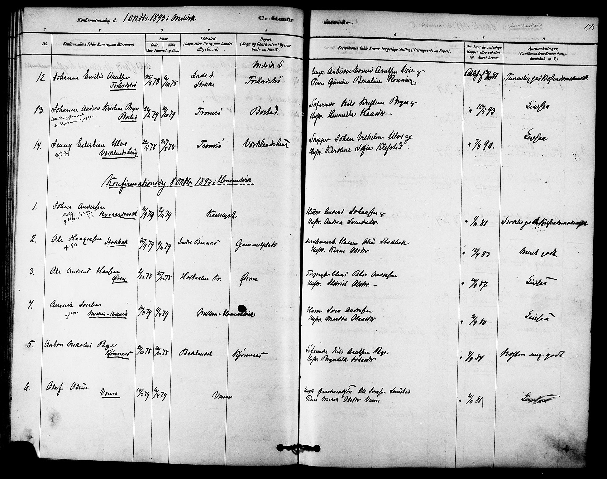 Ministerialprotokoller, klokkerbøker og fødselsregistre - Sør-Trøndelag, AV/SAT-A-1456/616/L0410: Parish register (official) no. 616A07, 1878-1893, p. 175