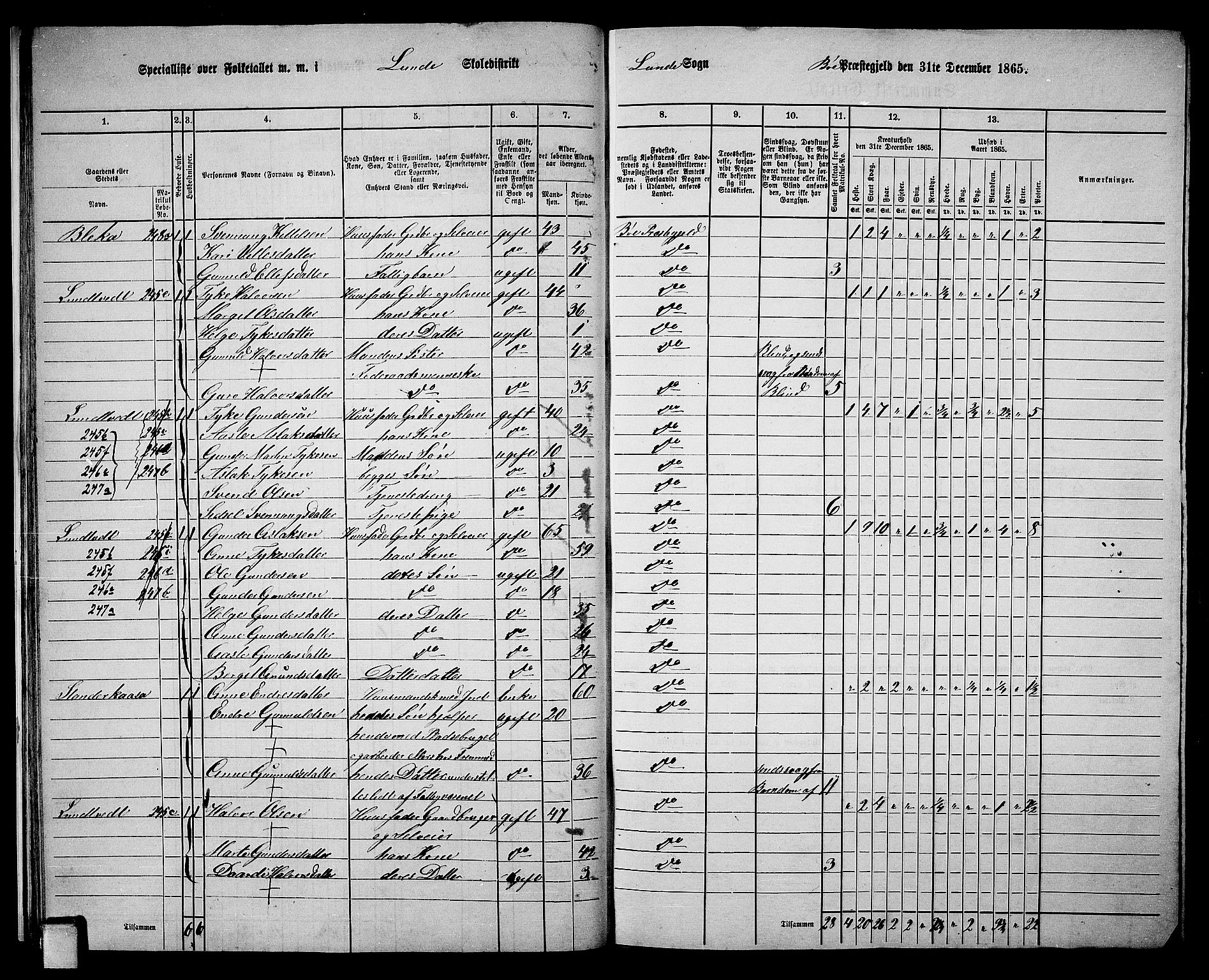 RA, 1865 census for Bø, 1865, p. 27