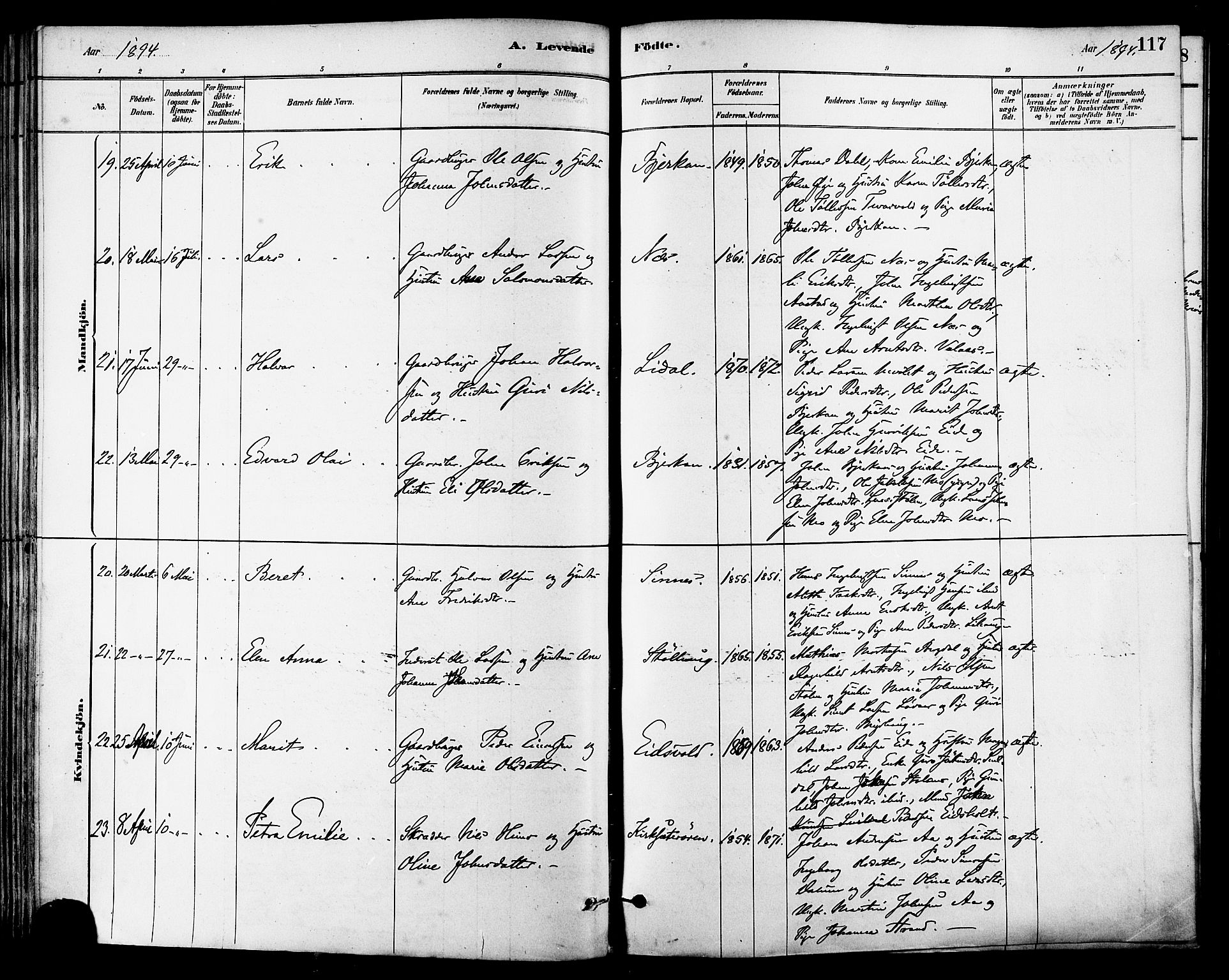 Ministerialprotokoller, klokkerbøker og fødselsregistre - Sør-Trøndelag, AV/SAT-A-1456/630/L0496: Parish register (official) no. 630A09, 1879-1895, p. 117