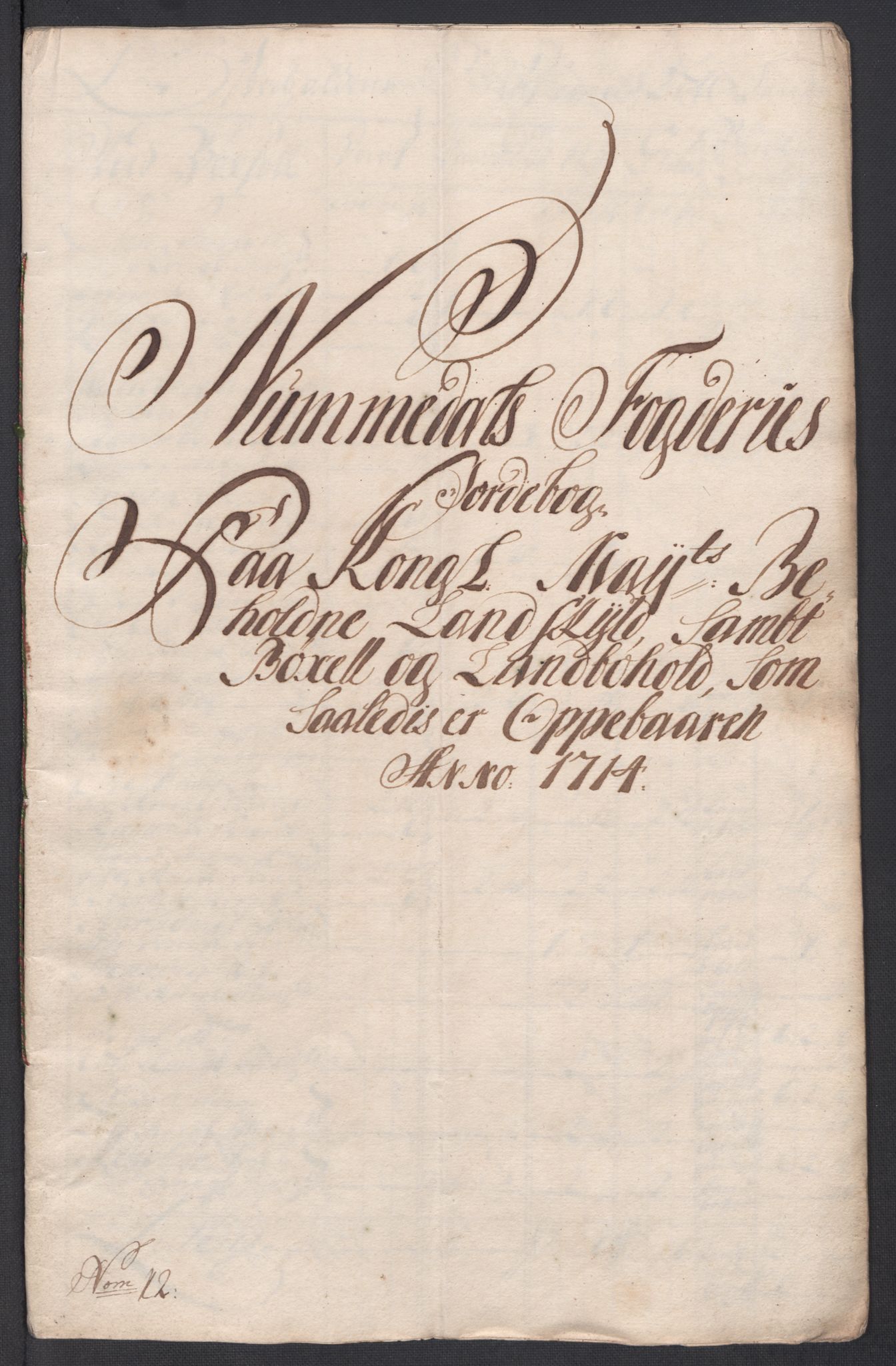 Rentekammeret inntil 1814, Reviderte regnskaper, Fogderegnskap, AV/RA-EA-4092/R64/L4435: Fogderegnskap Namdal, 1714, p. 134