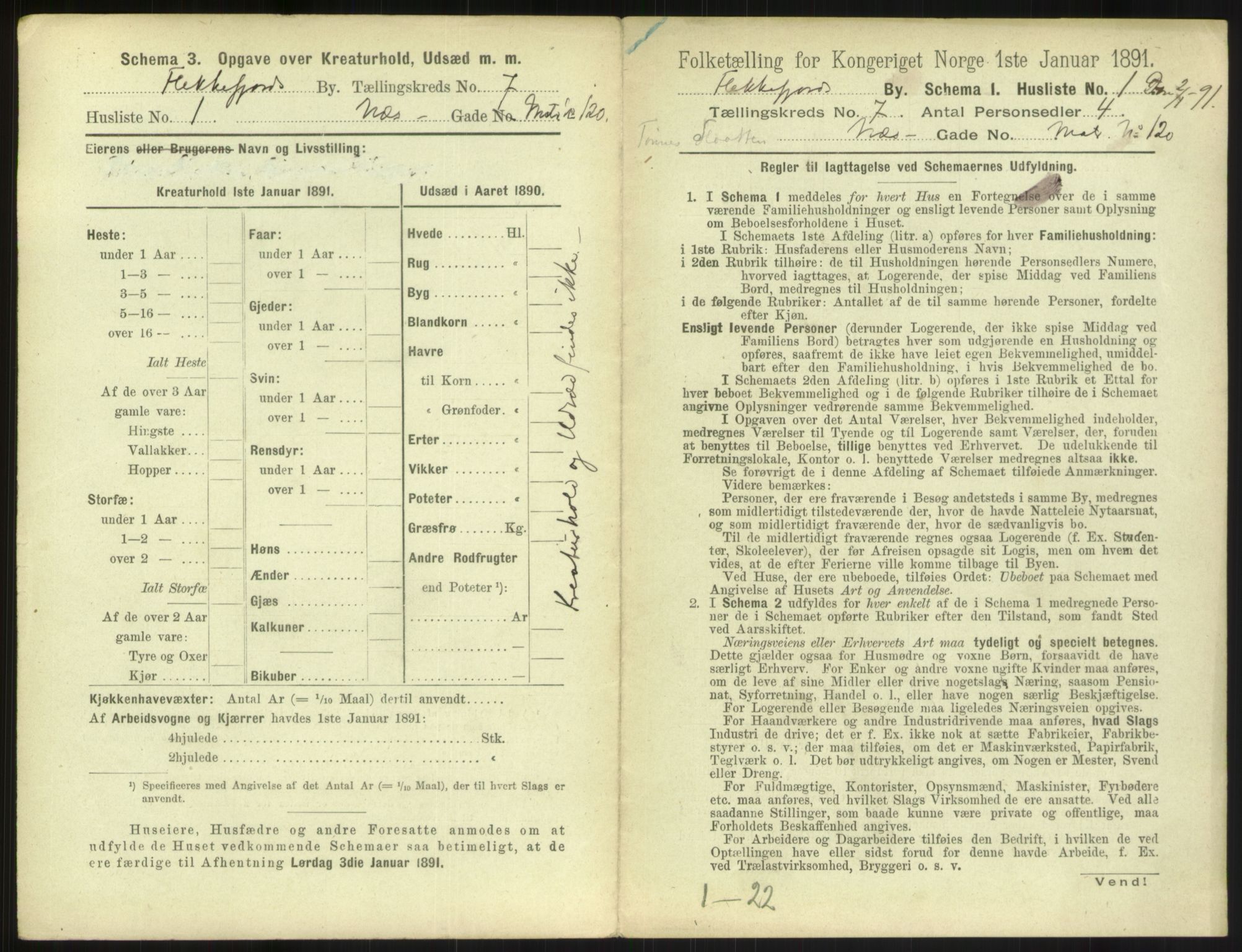 RA, 1891 census for 1004 Flekkefjord, 1891, p. 254