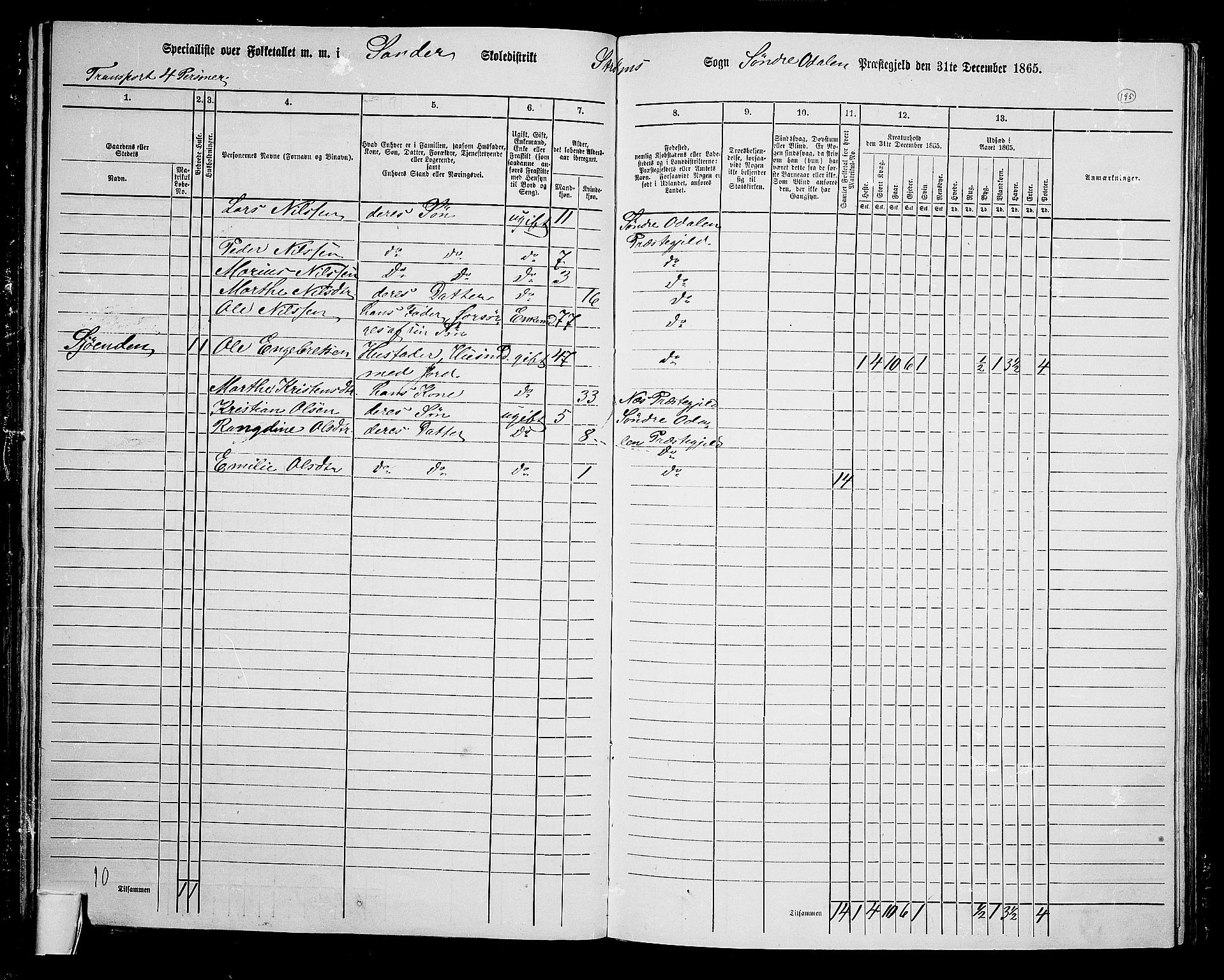 RA, 1865 census for Sør-Odal, 1865, p. 175