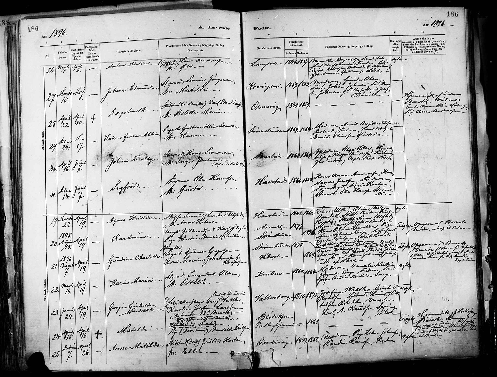 Barbu sokneprestkontor, AV/SAK-1111-0003/F/Fa/L0002: Parish register (official) no. A 2, 1883-1898, p. 186