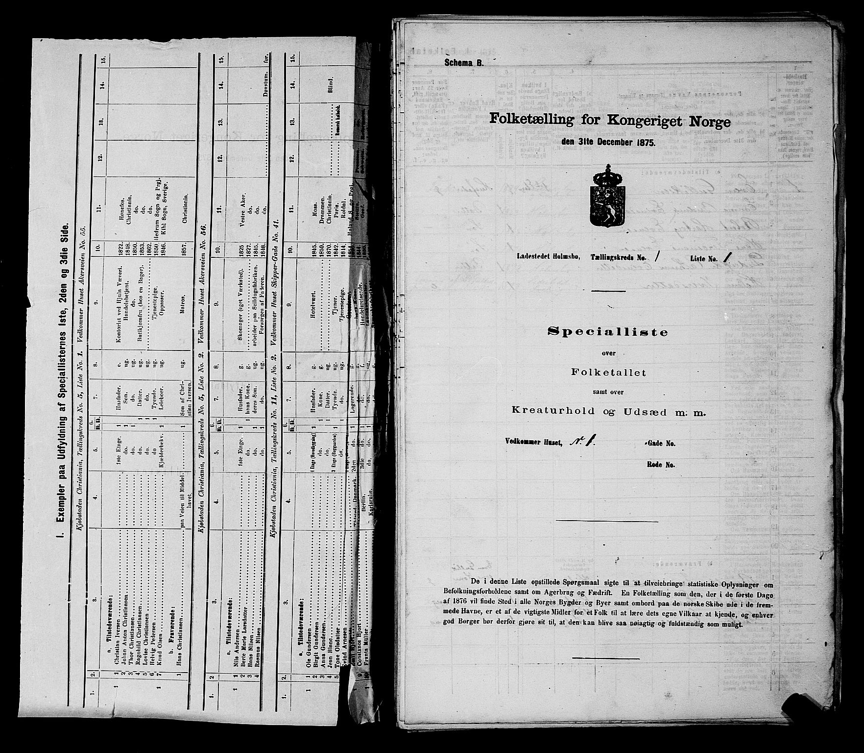 SAKO, 1875 census for 0603B Hurum/Holmsbu, 1875, p. 9