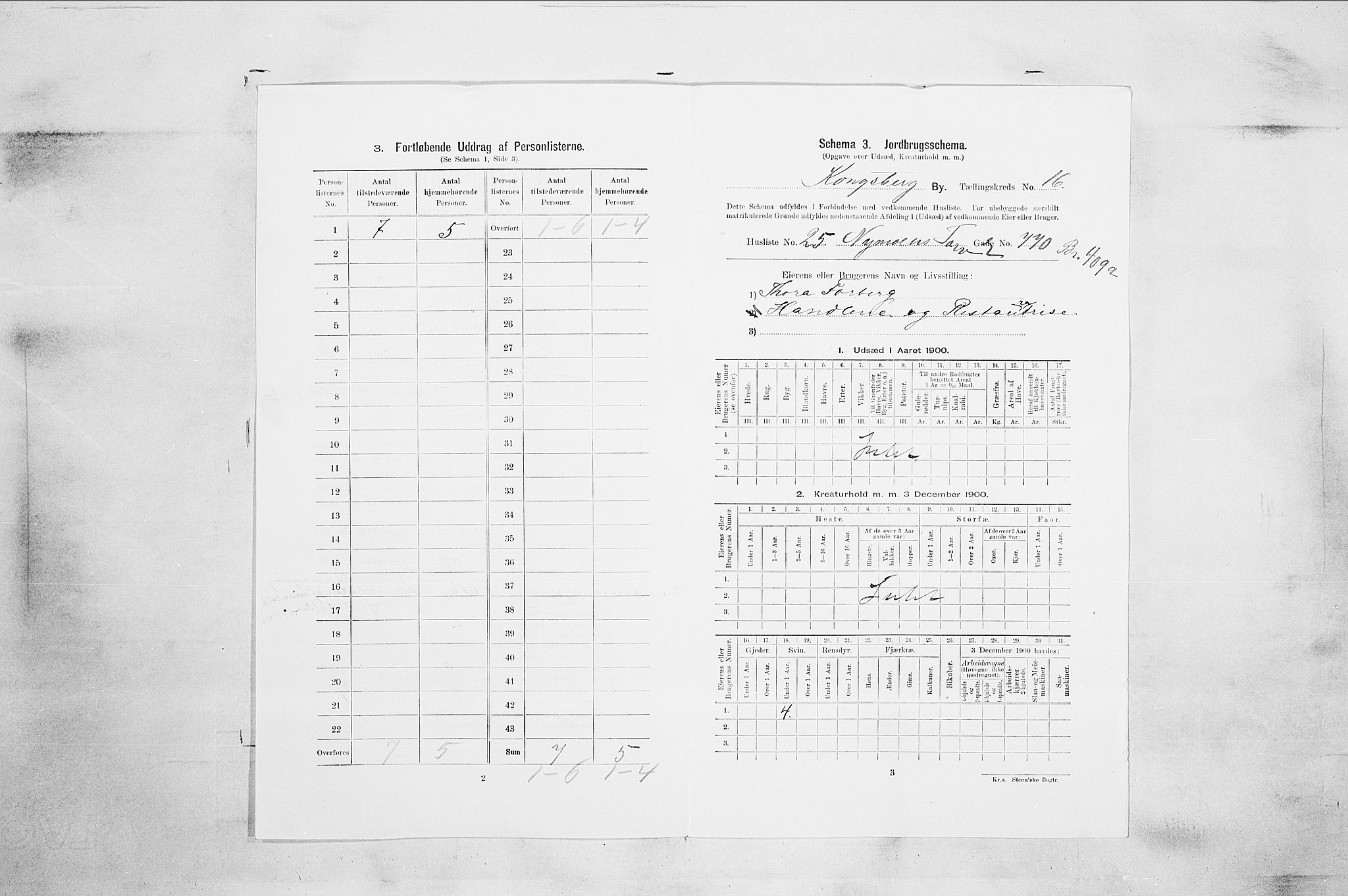 RA, 1900 census for Kongsberg, 1900, p. 3155