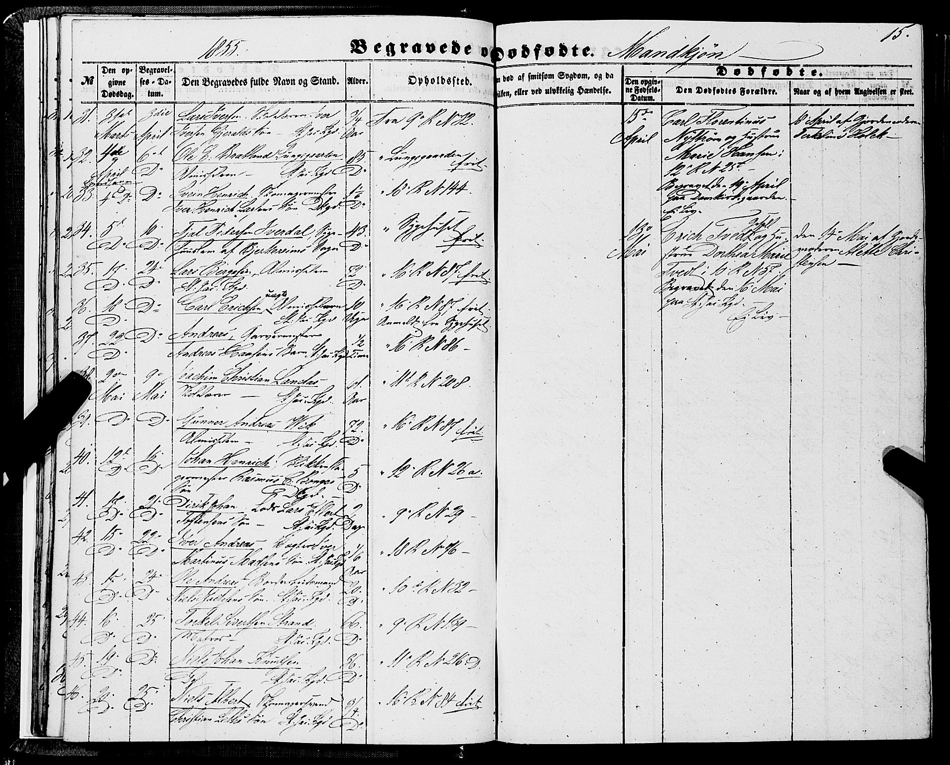Domkirken sokneprestembete, SAB/A-74801/H/Haa/L0041: Parish register (official) no. E 2, 1853-1863, p. 15