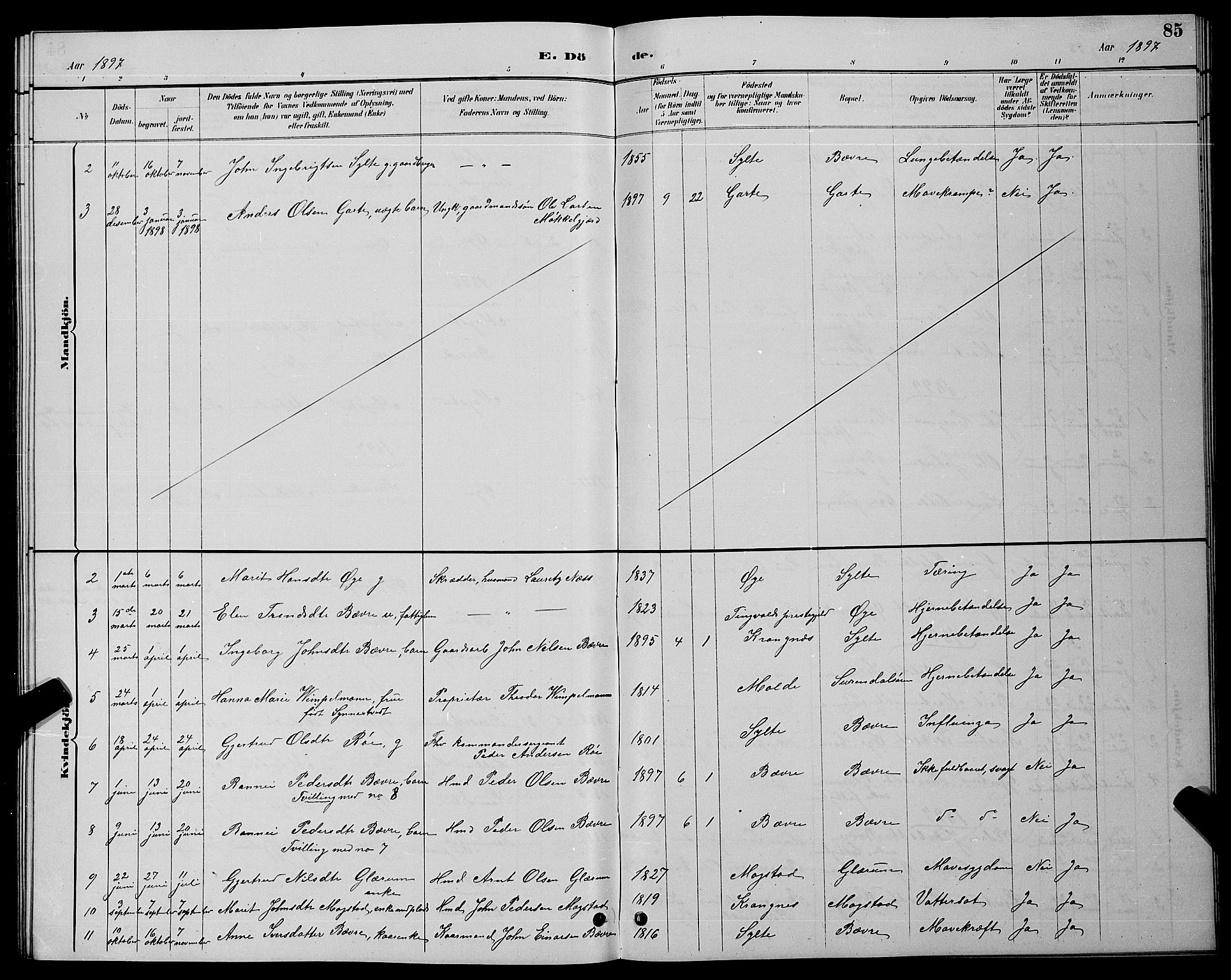 Ministerialprotokoller, klokkerbøker og fødselsregistre - Møre og Romsdal, AV/SAT-A-1454/595/L1052: Parish register (copy) no. 595C04, 1885-1900, p. 85