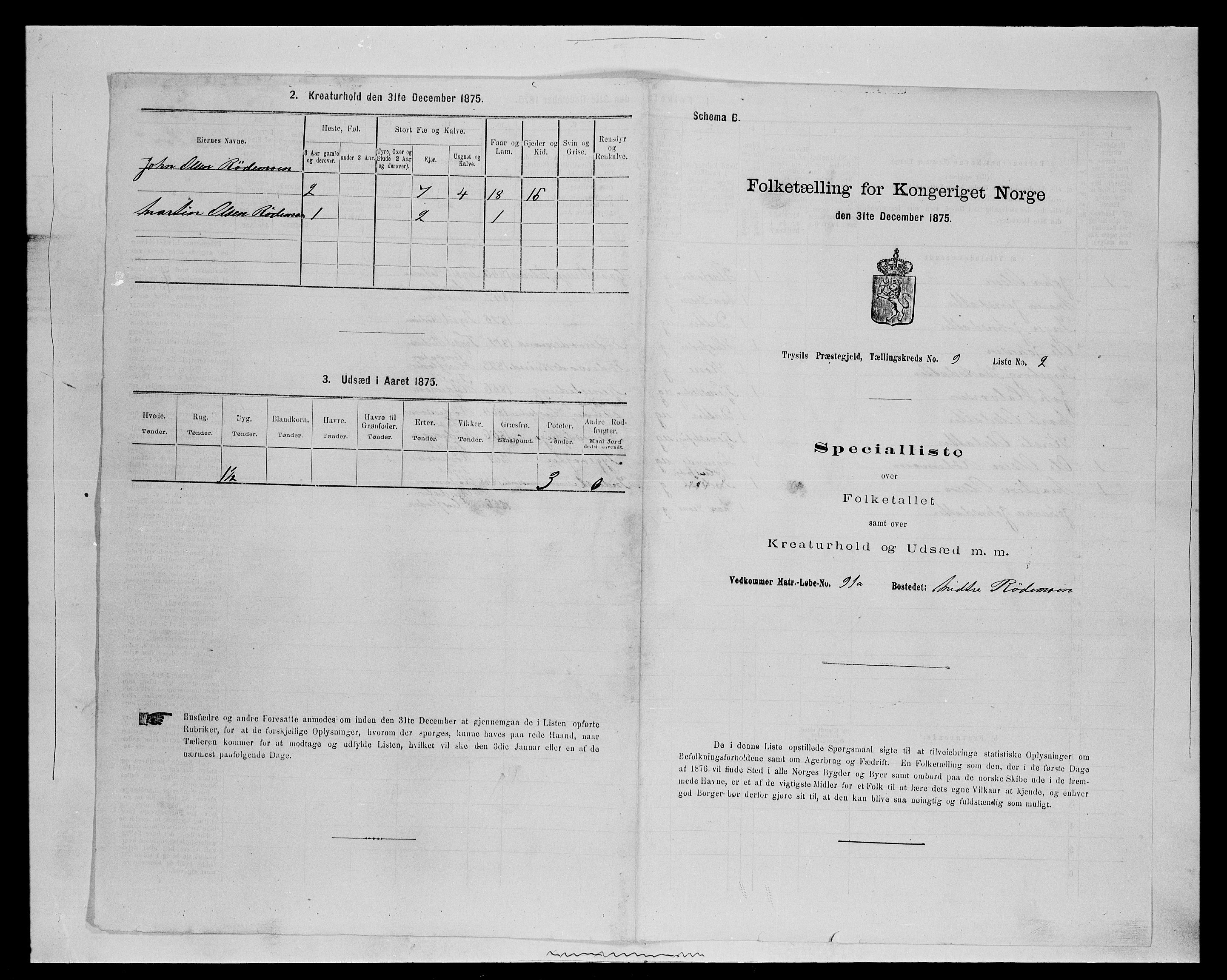 SAH, 1875 census for 0428P Trysil, 1875, p. 1079