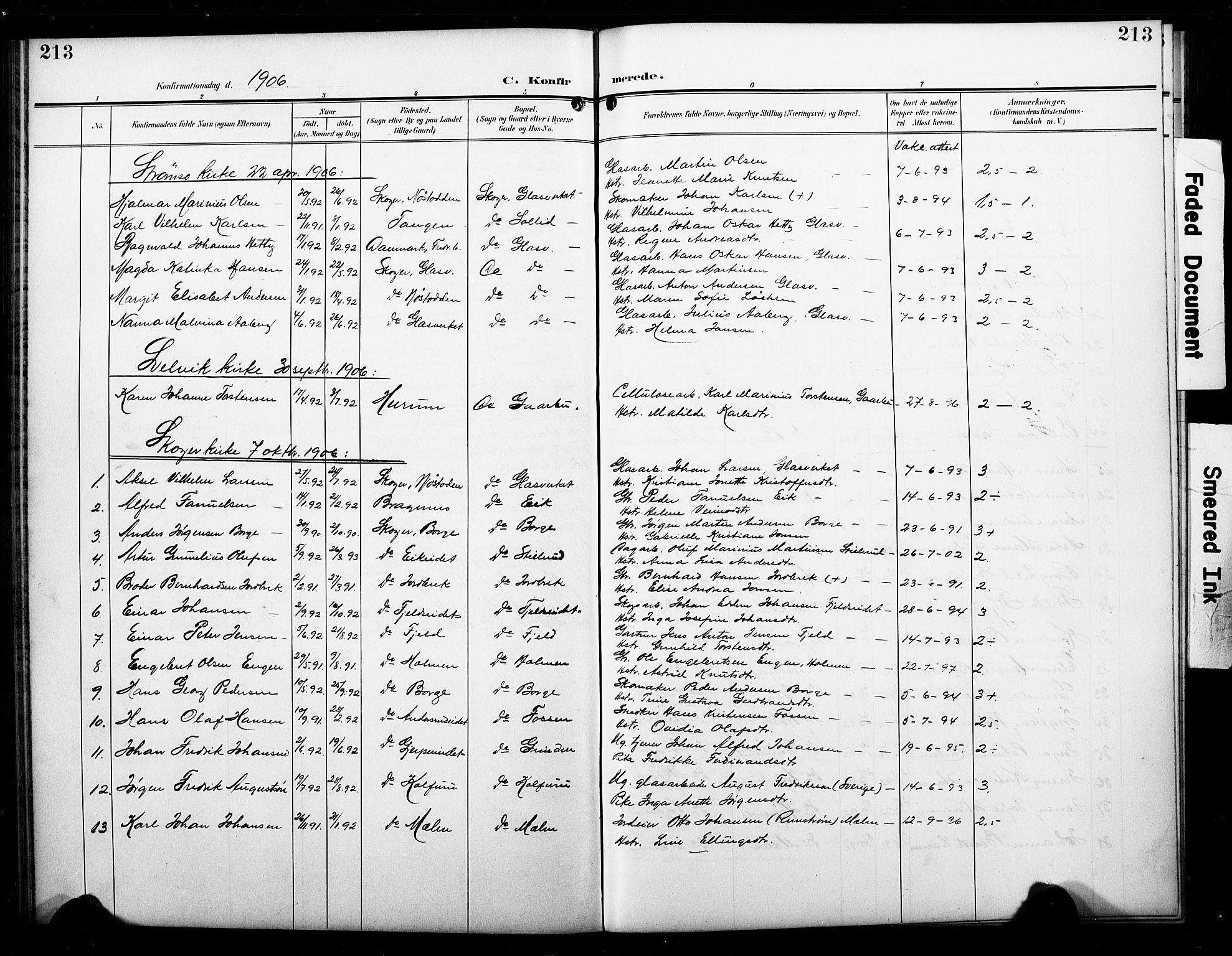 Skoger kirkebøker, AV/SAKO-A-59/G/Ga/L0003: Parish register (copy) no. I 3, 1900-1927, p. 213