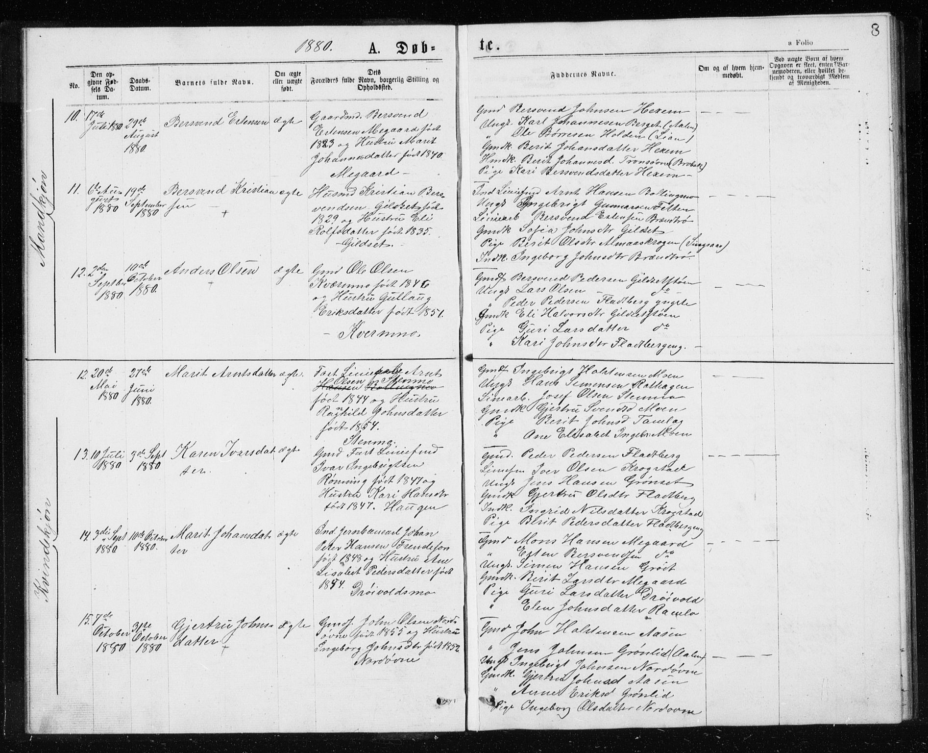 Ministerialprotokoller, klokkerbøker og fødselsregistre - Sør-Trøndelag, AV/SAT-A-1456/685/L0977: Parish register (copy) no. 685C02, 1879-1890, p. 8