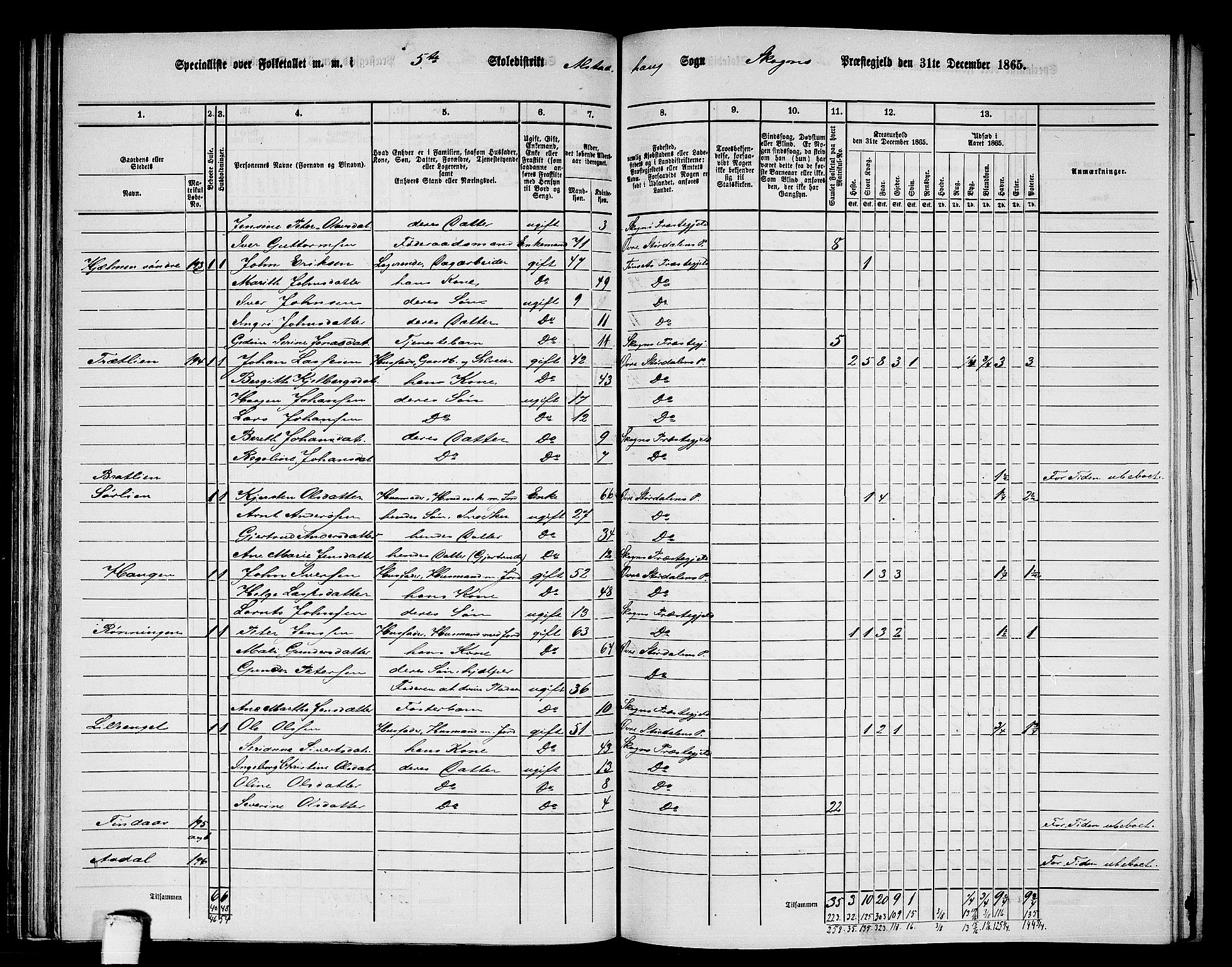 RA, 1865 census for Skogn, 1865, p. 124