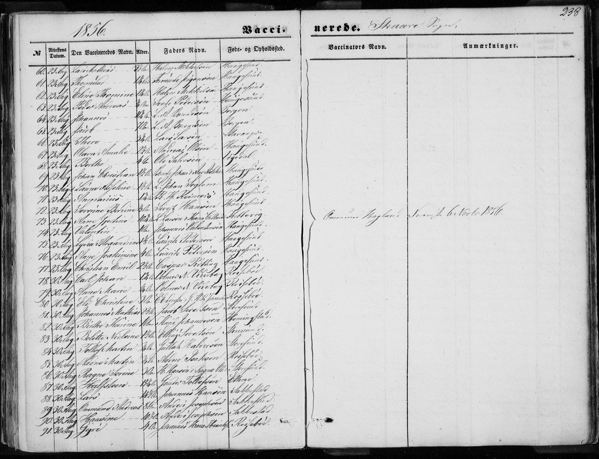 Torvastad sokneprestkontor, AV/SAST-A -101857/H/Ha/Haa/L0009: Parish register (official) no. A 9, 1847-1856, p. 238