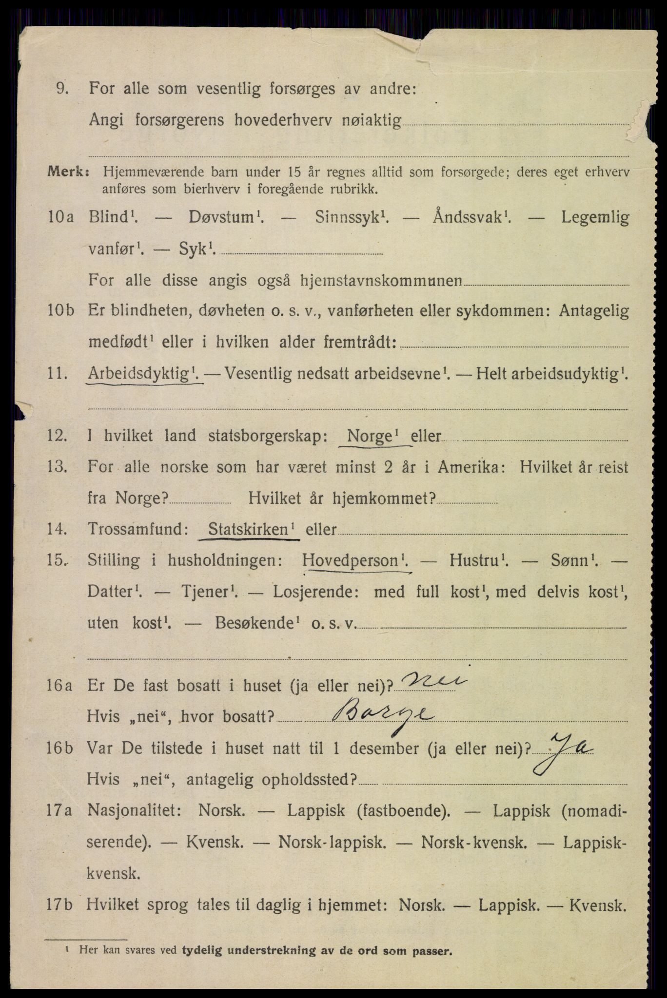 SAT, 1920 census for Borge, 1920, p. 3070