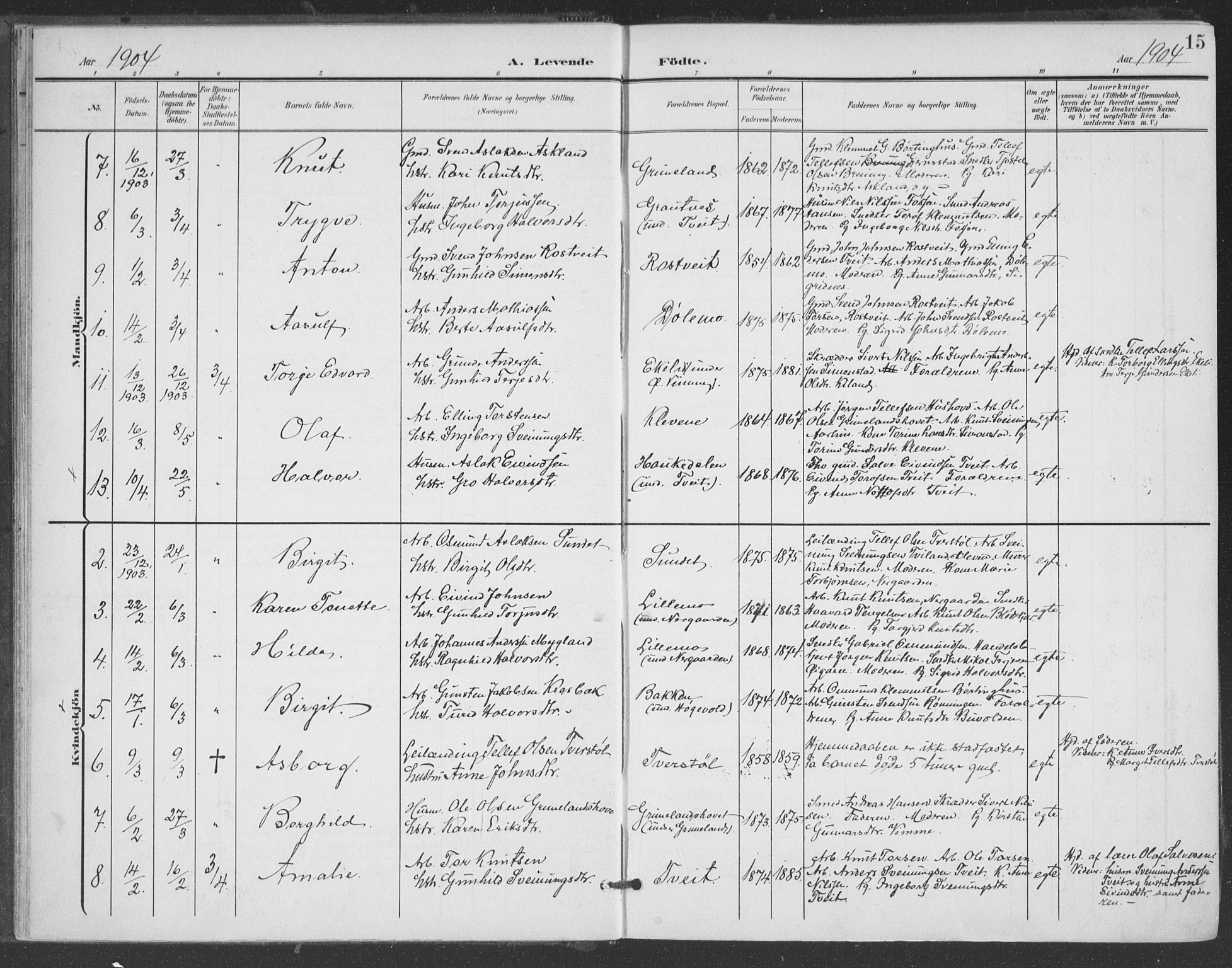 Åmli sokneprestkontor, AV/SAK-1111-0050/F/Fa/Fac/L0012: Parish register (official) no. A 12, 1900-1914, p. 15