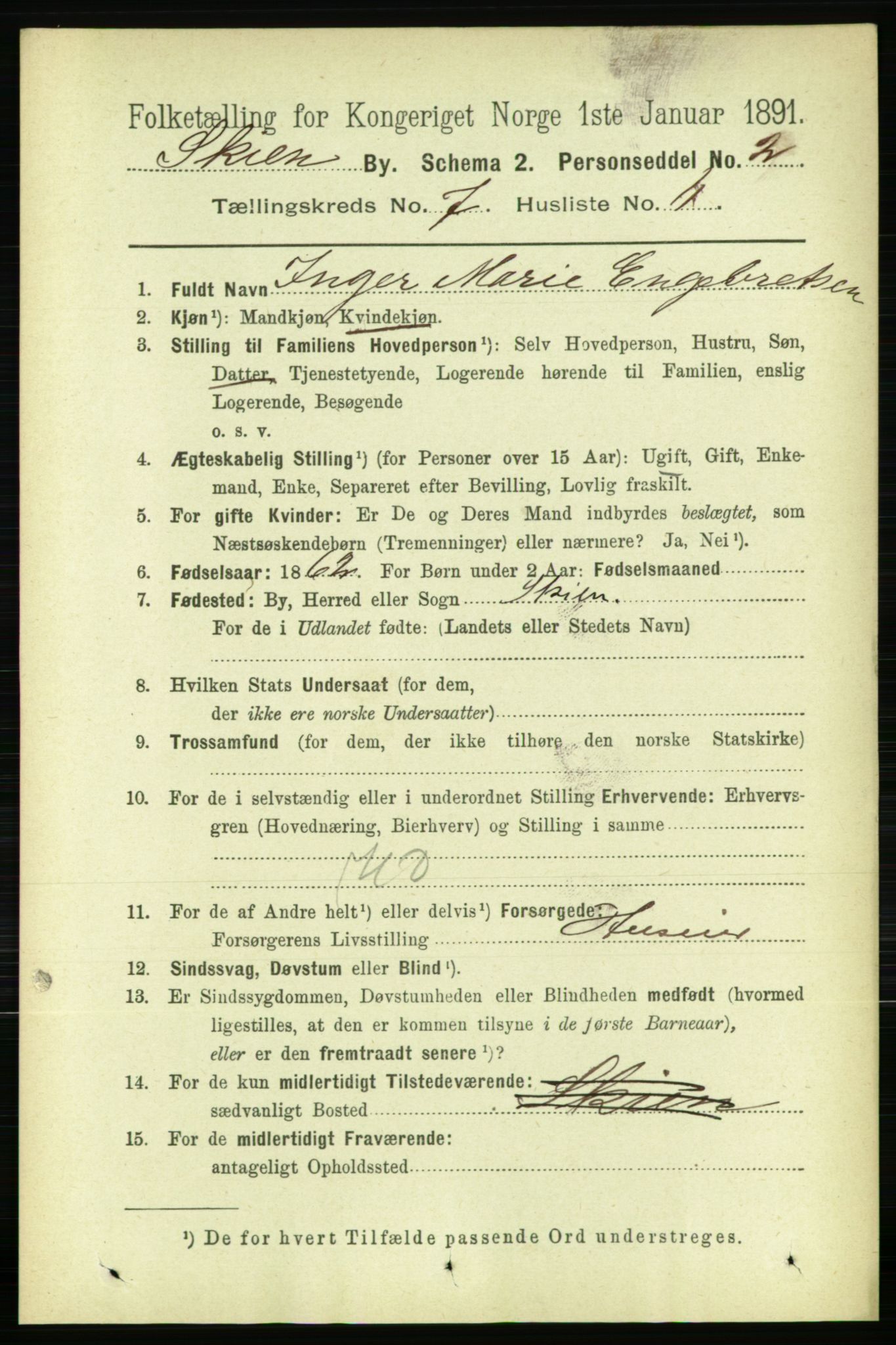 RA, 1891 census for 0806 Skien, 1891, p. 3225