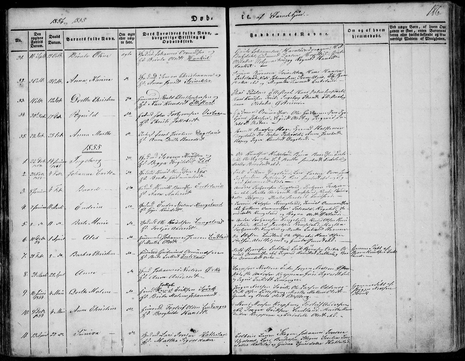 Skjold sokneprestkontor, AV/SAST-A-101847/H/Ha/Haa/L0006: Parish register (official) no. A 6.1, 1835-1858, p. 186