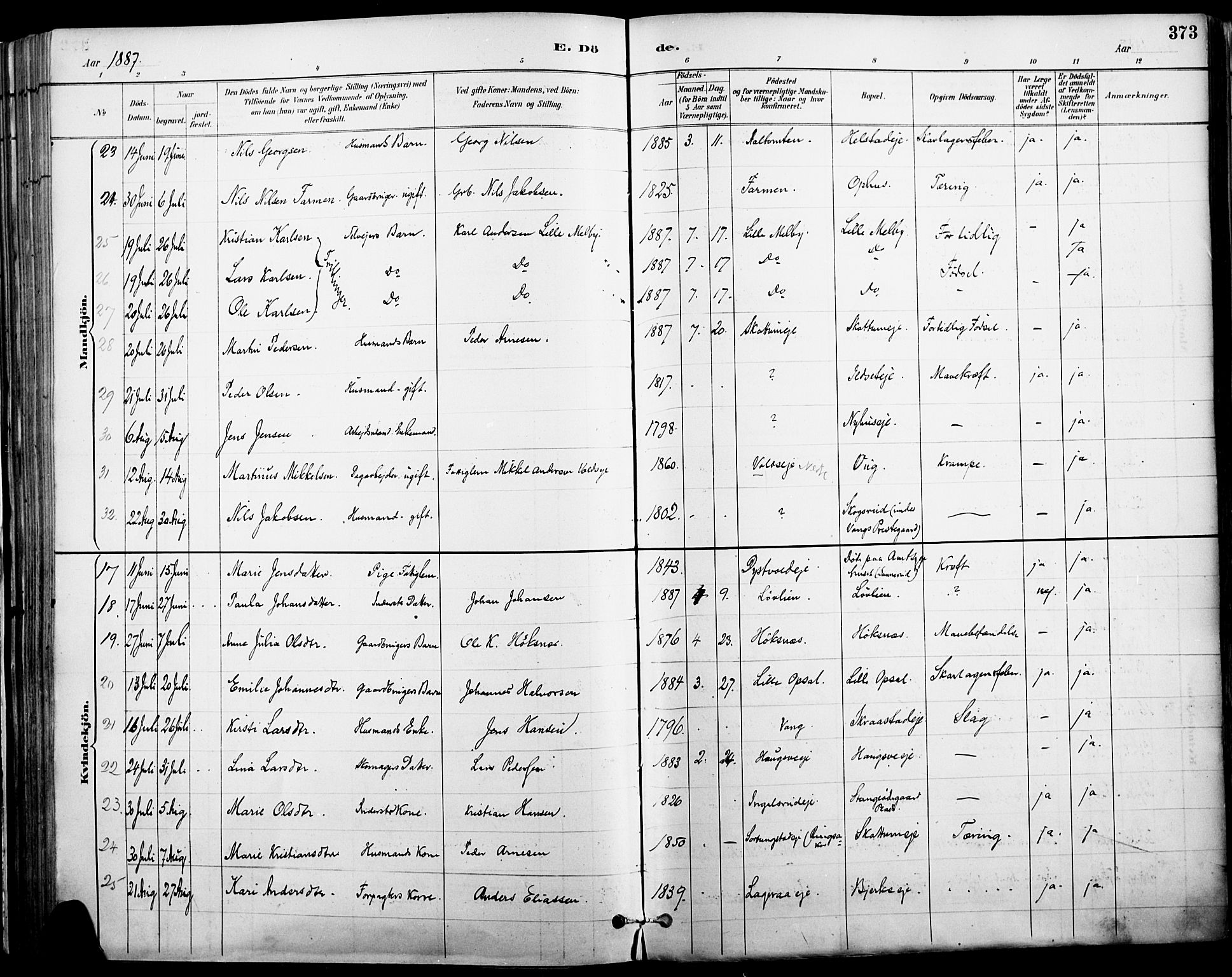 Vang prestekontor, Hedmark, SAH/PREST-008/H/Ha/Haa/L0019A: Parish register (official) no. 19, 1886-1900, p. 373