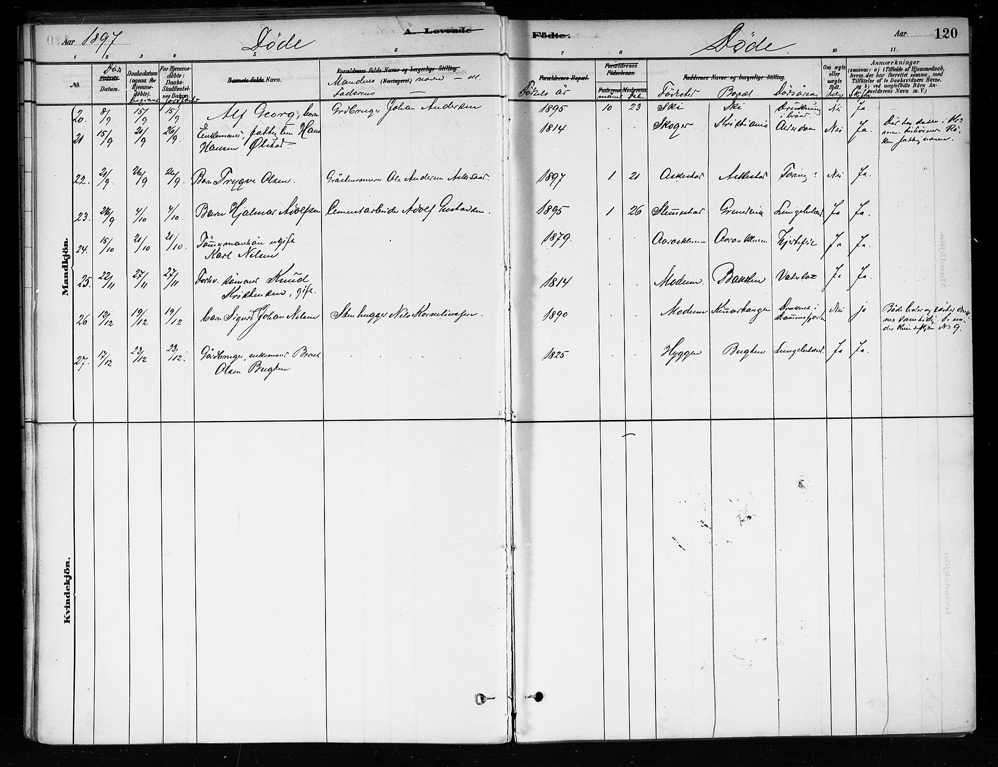 Røyken kirkebøker, AV/SAKO-A-241/F/Fa/L0008: Parish register (official) no. 8, 1880-1897, p. 120