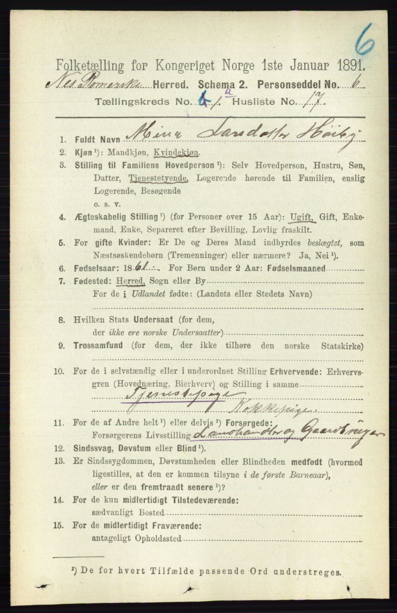 RA, 1891 census for 0236 Nes, 1891, p. 221