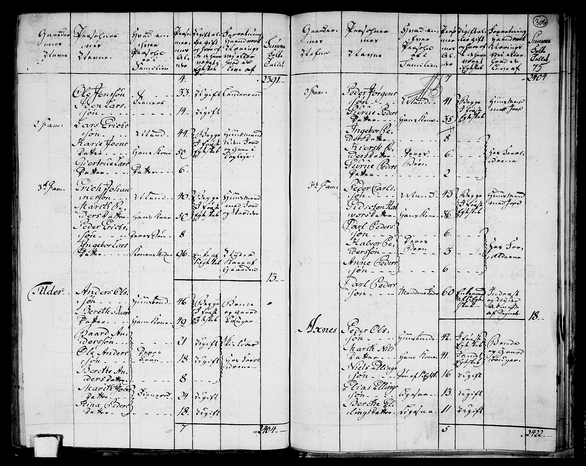 RA, 1801 census for 1721P Verdal, 1801, p. 305b-306a