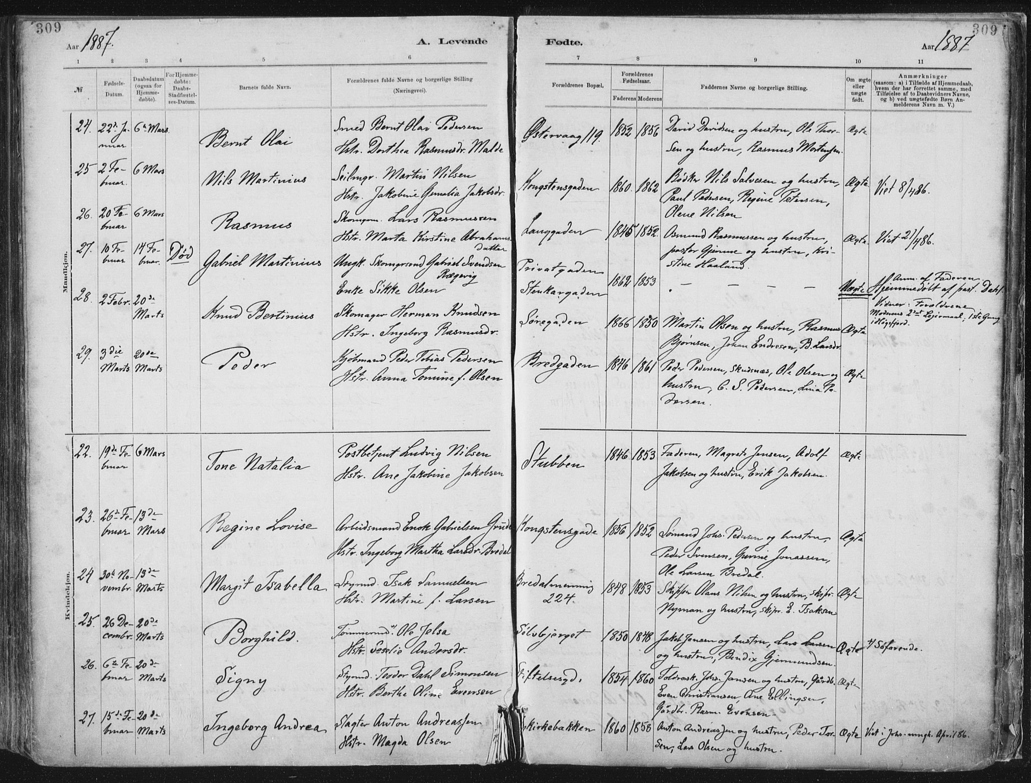 St. Petri sokneprestkontor, AV/SAST-A-101813/001/30/30BA/L0015: Parish register (official) no. A 15, 1879-1888, p. 309