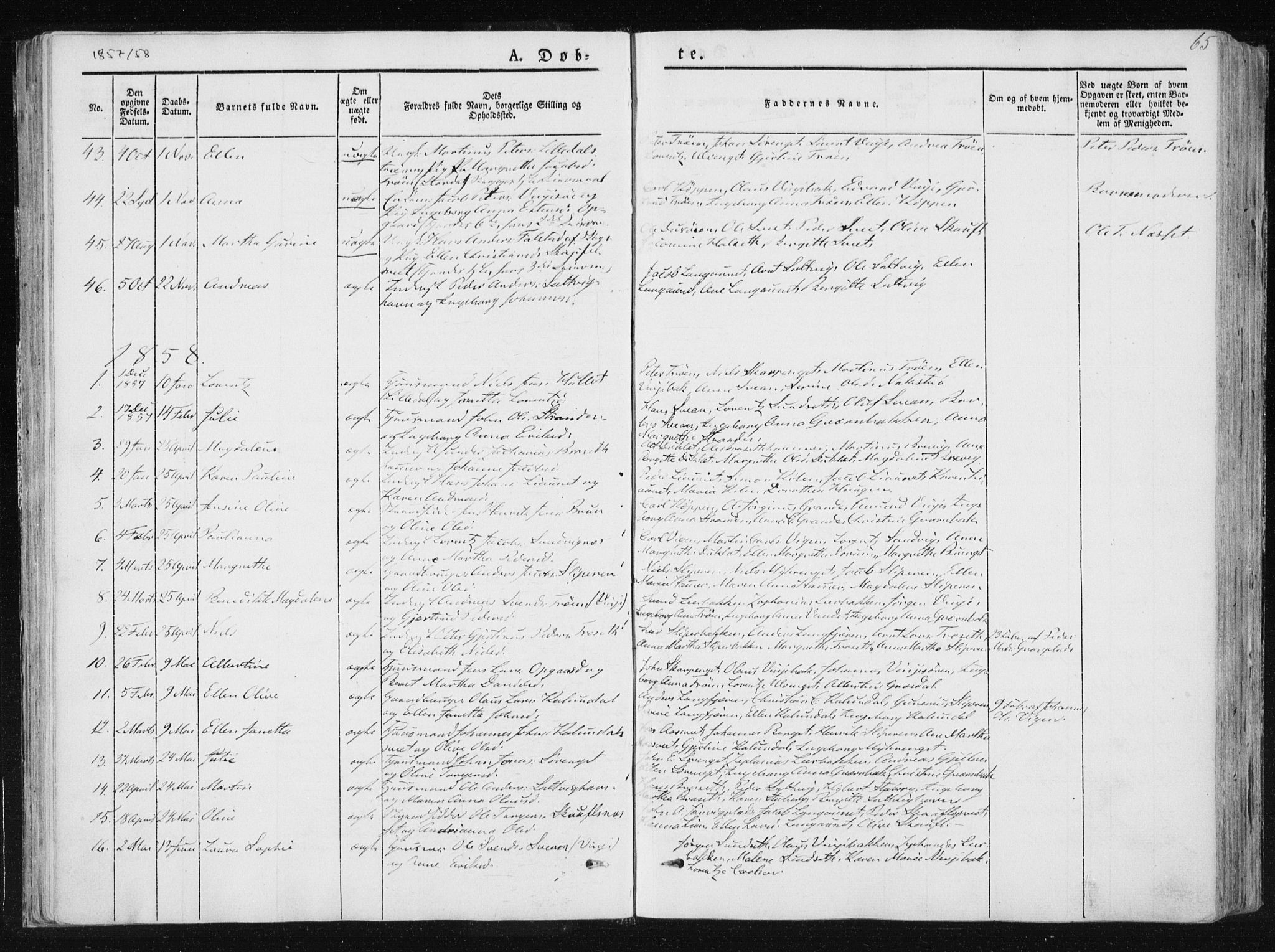 Ministerialprotokoller, klokkerbøker og fødselsregistre - Nord-Trøndelag, SAT/A-1458/733/L0323: Parish register (official) no. 733A02, 1843-1870, p. 65