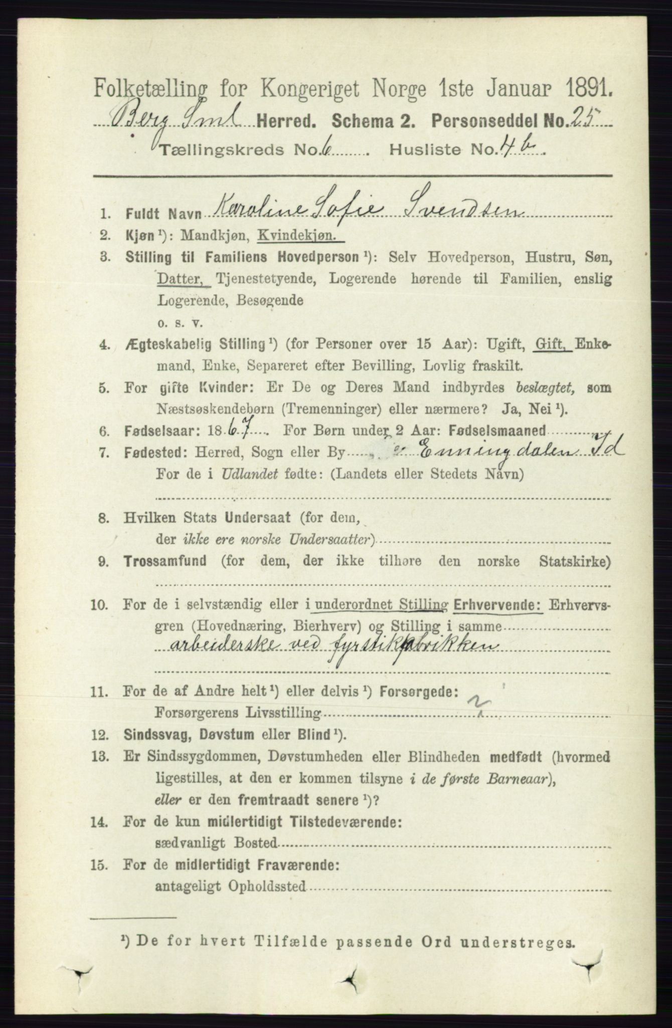 RA, 1891 census for 0116 Berg, 1891, p. 3784