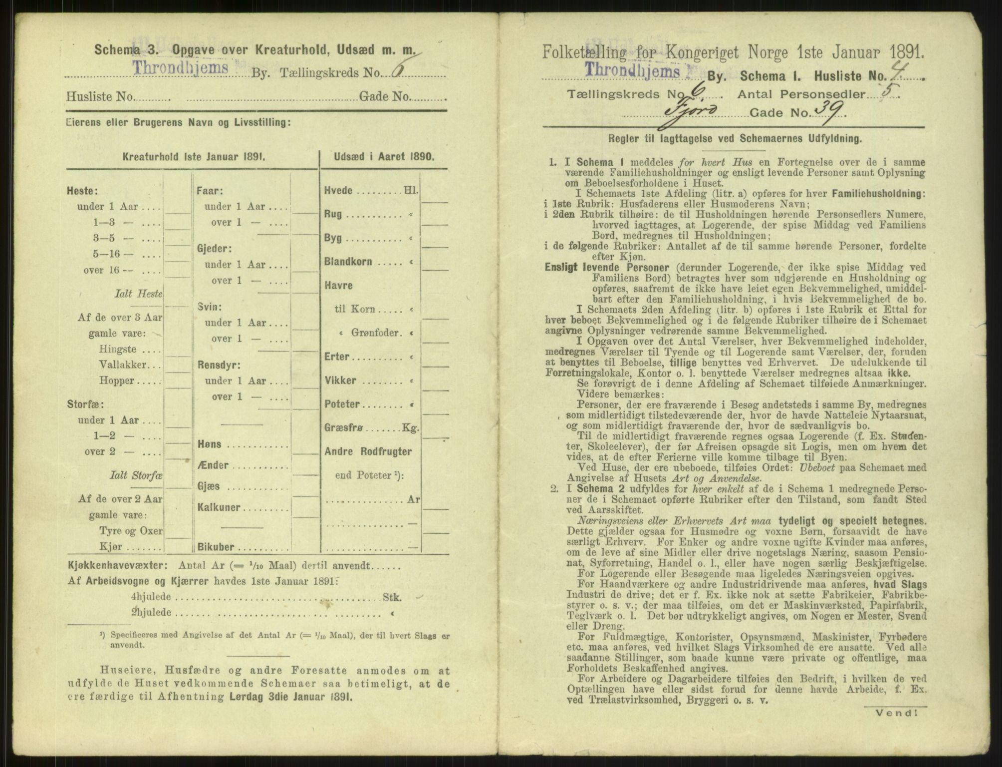 RA, 1891 census for 1601 Trondheim, 1891, p. 622