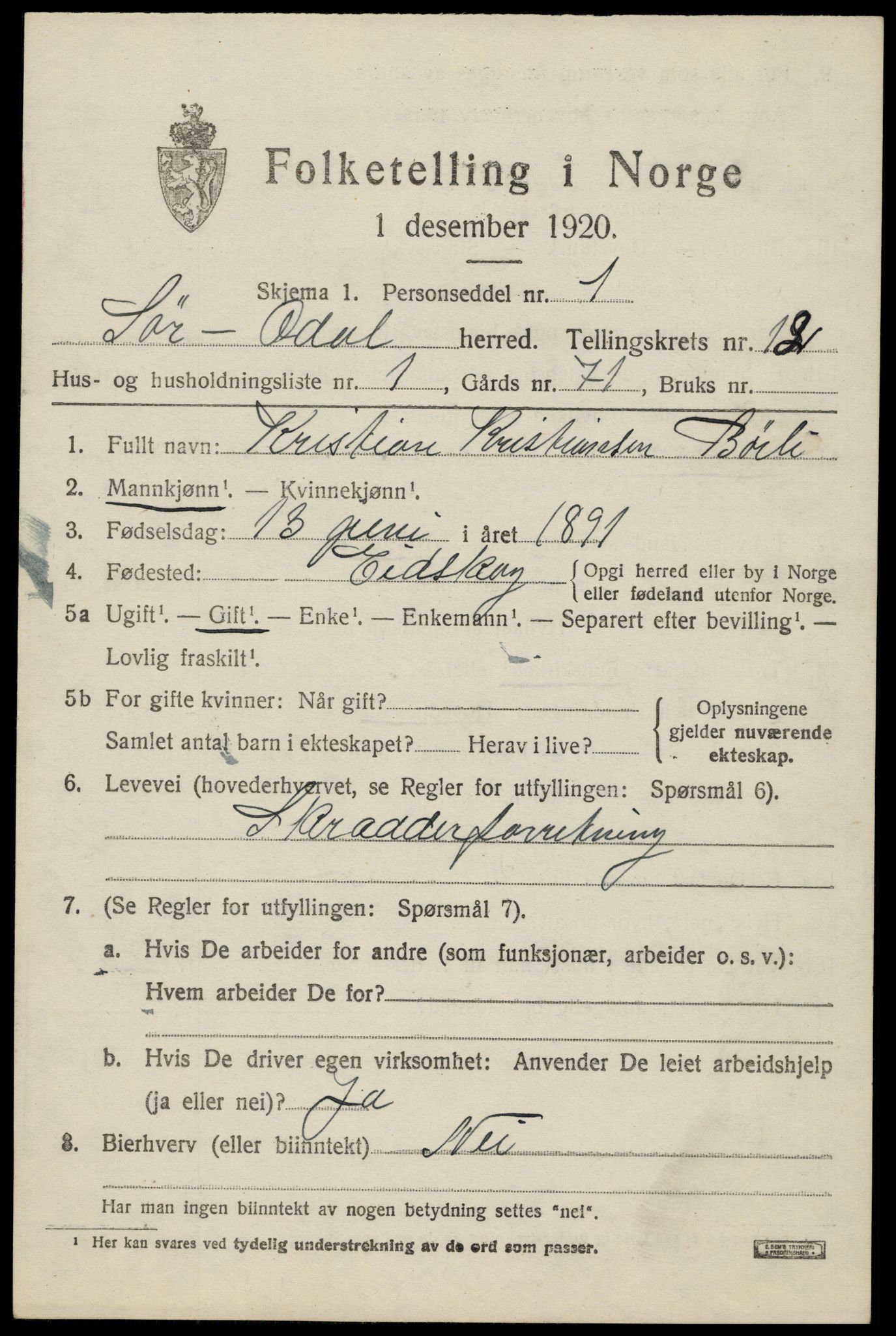 SAH, 1920 census for Sør-Odal, 1920, p. 12197