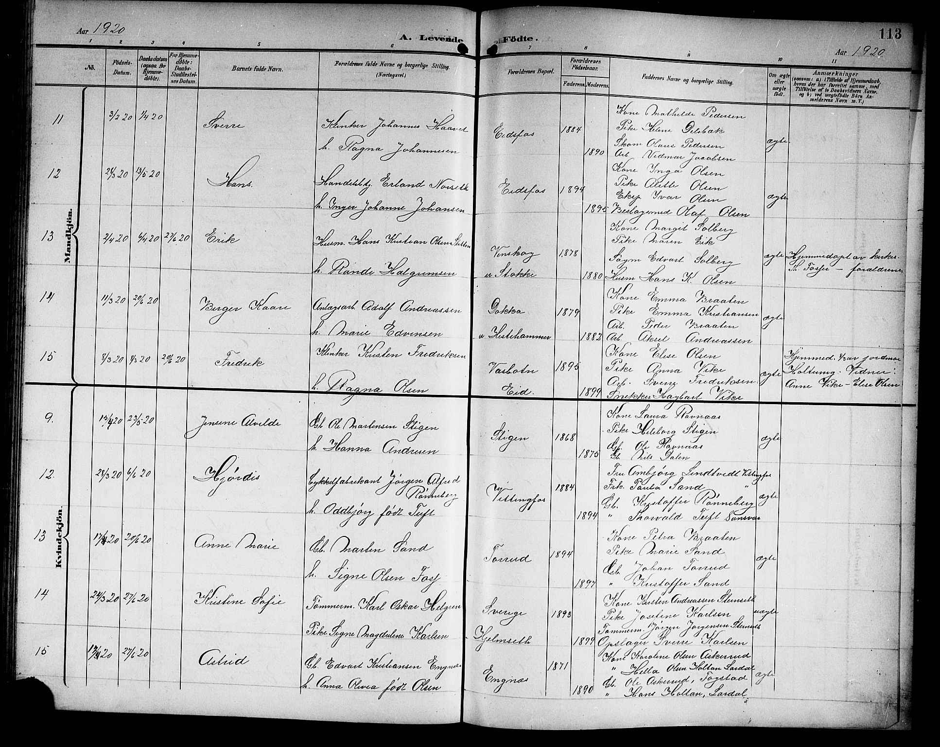 Hof kirkebøker, SAKO/A-64/G/Ga/L0005: Parish register (copy) no. I 5, 1899-1922, p. 113