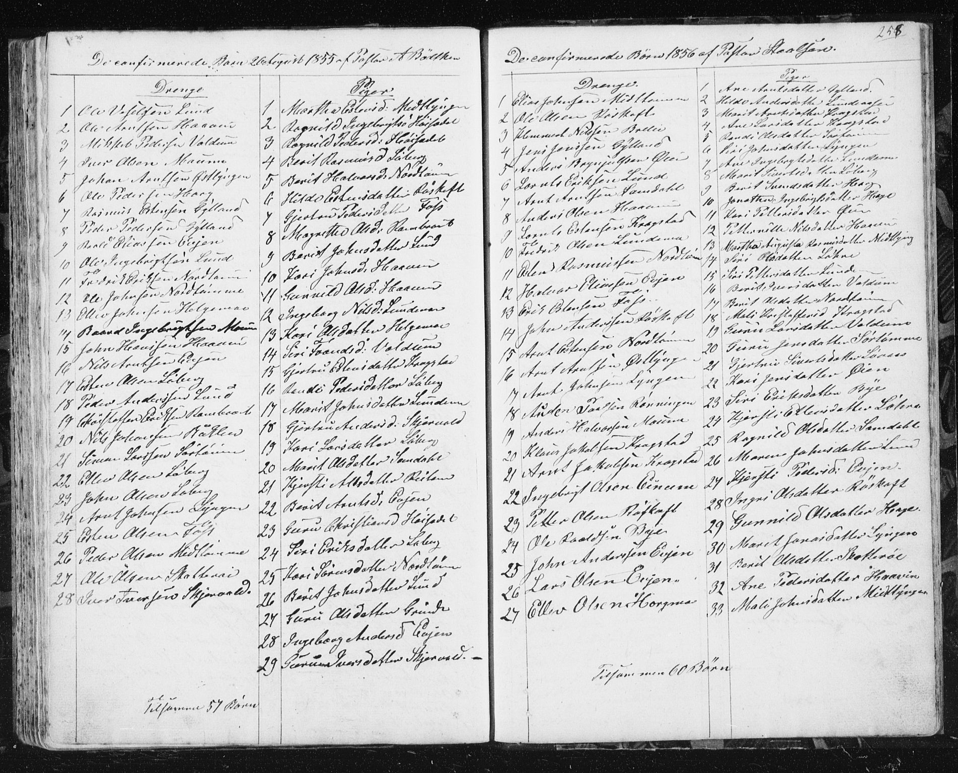 Ministerialprotokoller, klokkerbøker og fødselsregistre - Sør-Trøndelag, SAT/A-1456/692/L1110: Parish register (copy) no. 692C05, 1849-1889, p. 258