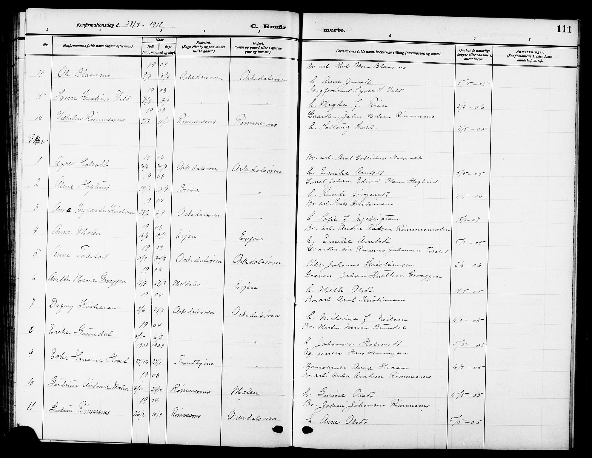 Ministerialprotokoller, klokkerbøker og fødselsregistre - Sør-Trøndelag, AV/SAT-A-1456/669/L0831: Parish register (copy) no. 669C01, 1909-1924, p. 111